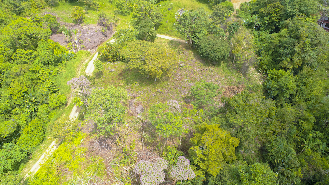 0 bed Land For Sale in Dominical, Puntarenas - thumb 4