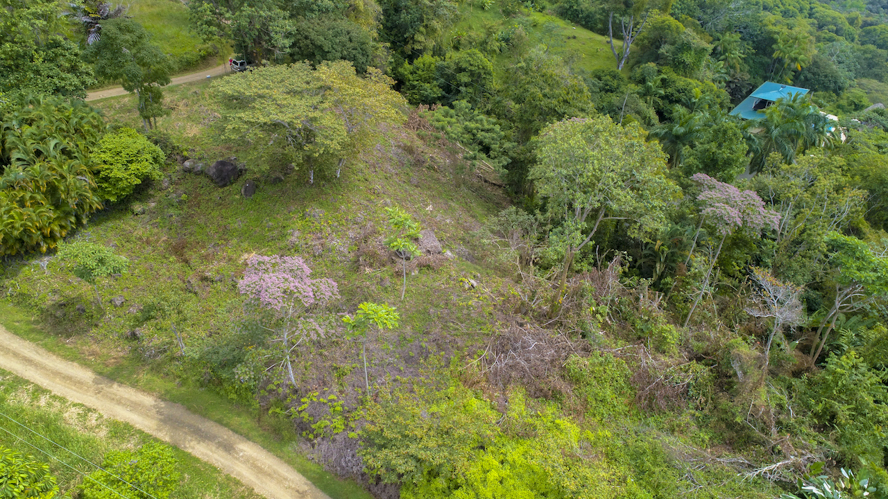 0 bed Land For Sale in Dominical, Puntarenas - thumb 15