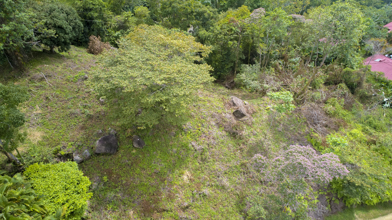 0 bed Land For Sale in Dominical, Puntarenas - thumb 3