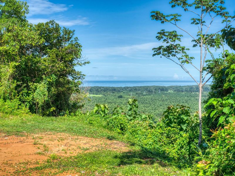 0 bed Land For Sale in Dominical, Puntarenas - 1