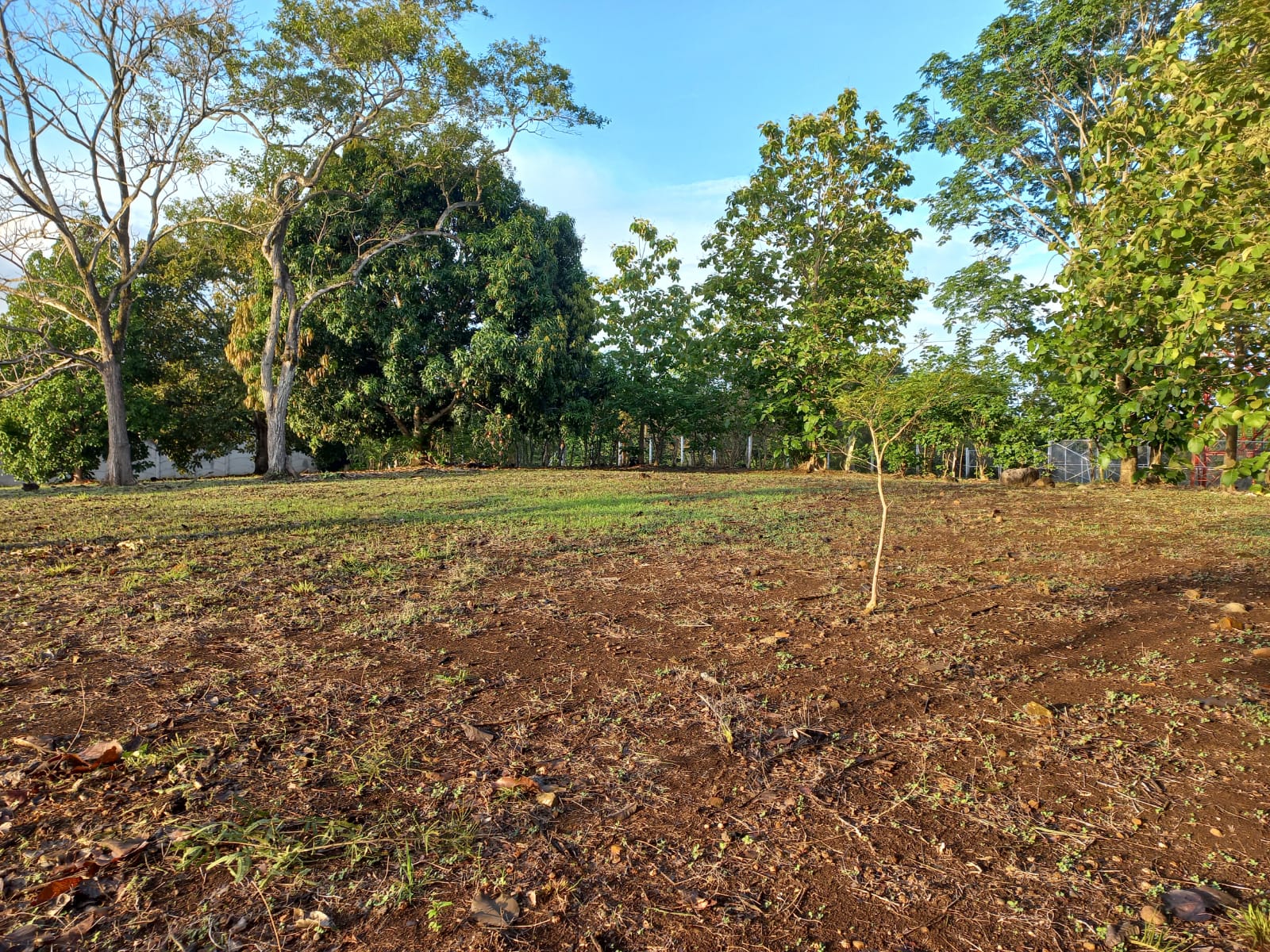 0 bed Land For Sale in Orotina, Alajuela - thumb 1