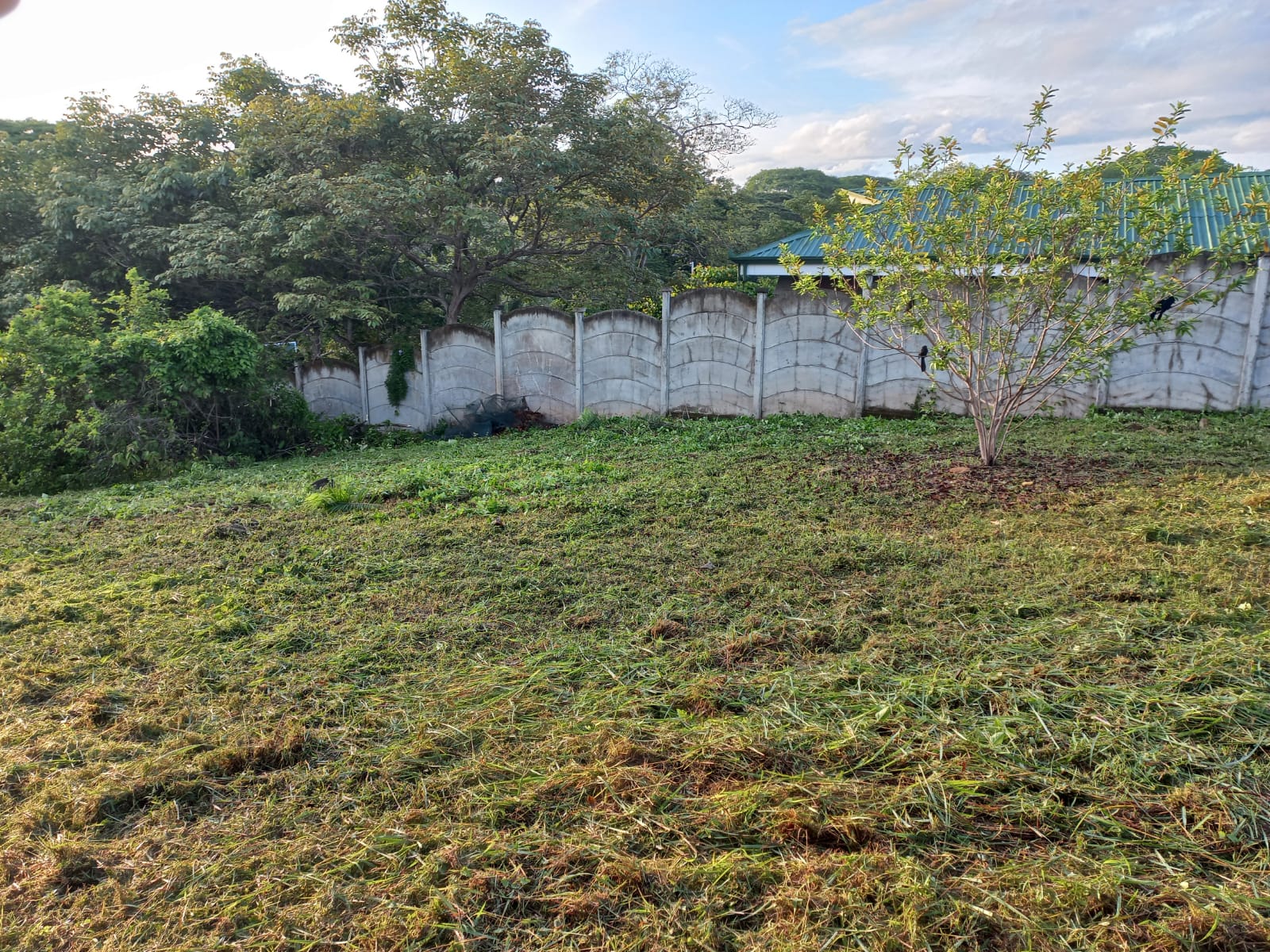 0 bed Land For Sale in Orotina, Alajuela - thumb 5