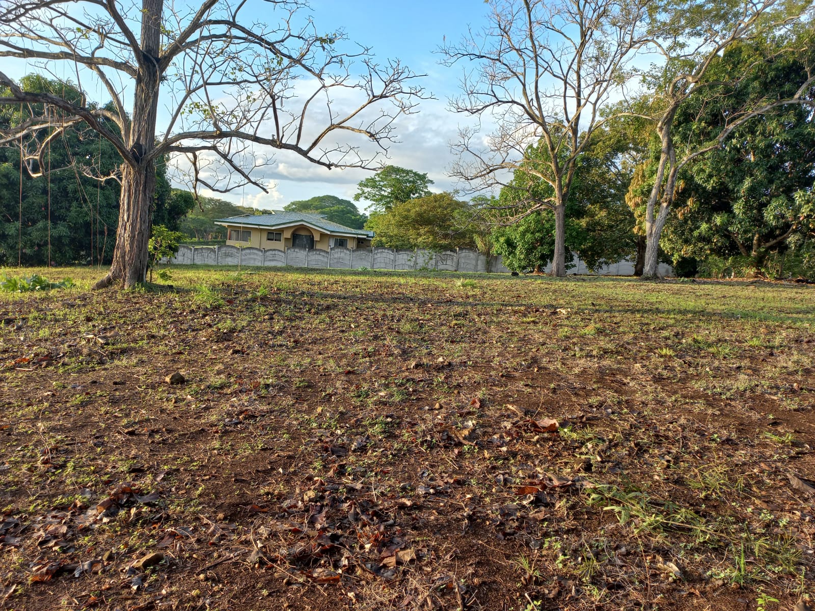 0 bed Land For Sale in Orotina, Alajuela - thumb 8