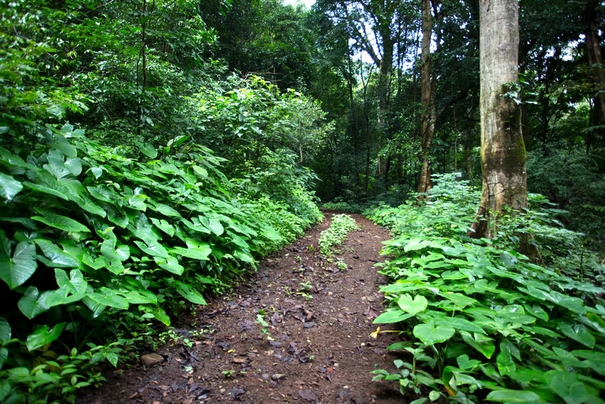 8 bed Commercial For Sale in Atenas, Alajuela - thumb 19