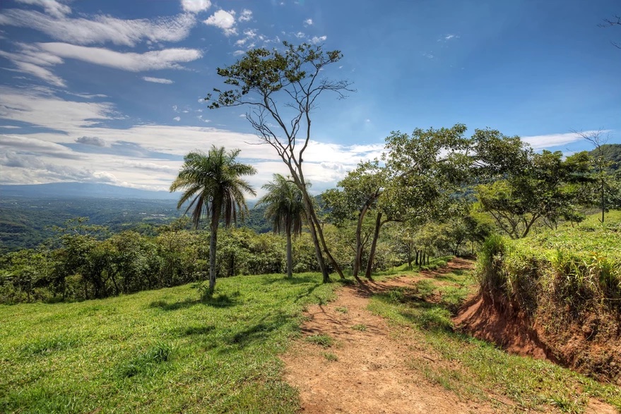 8 bed Commercial For Sale in Atenas, Alajuela - thumb 15