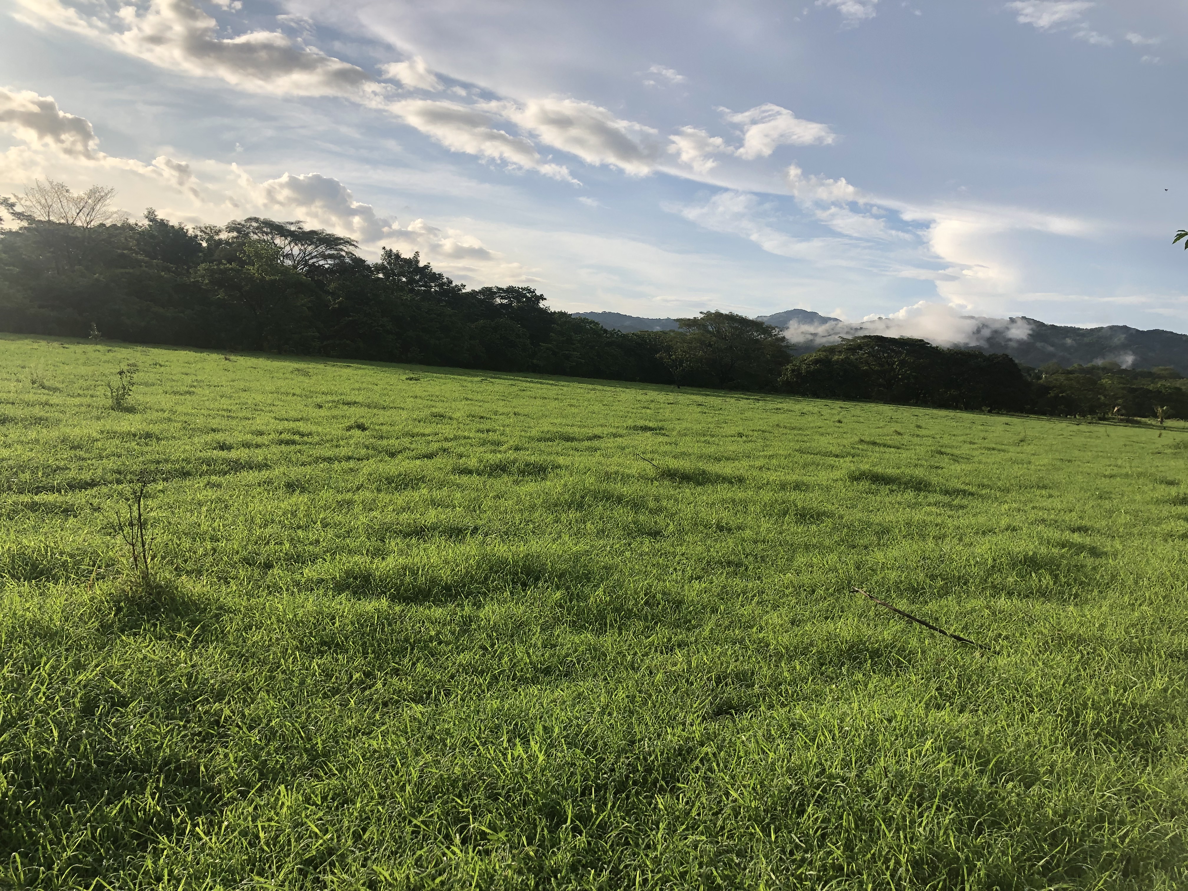 0 bed Land For Sale in Samara, Guanacaste - thumb 6