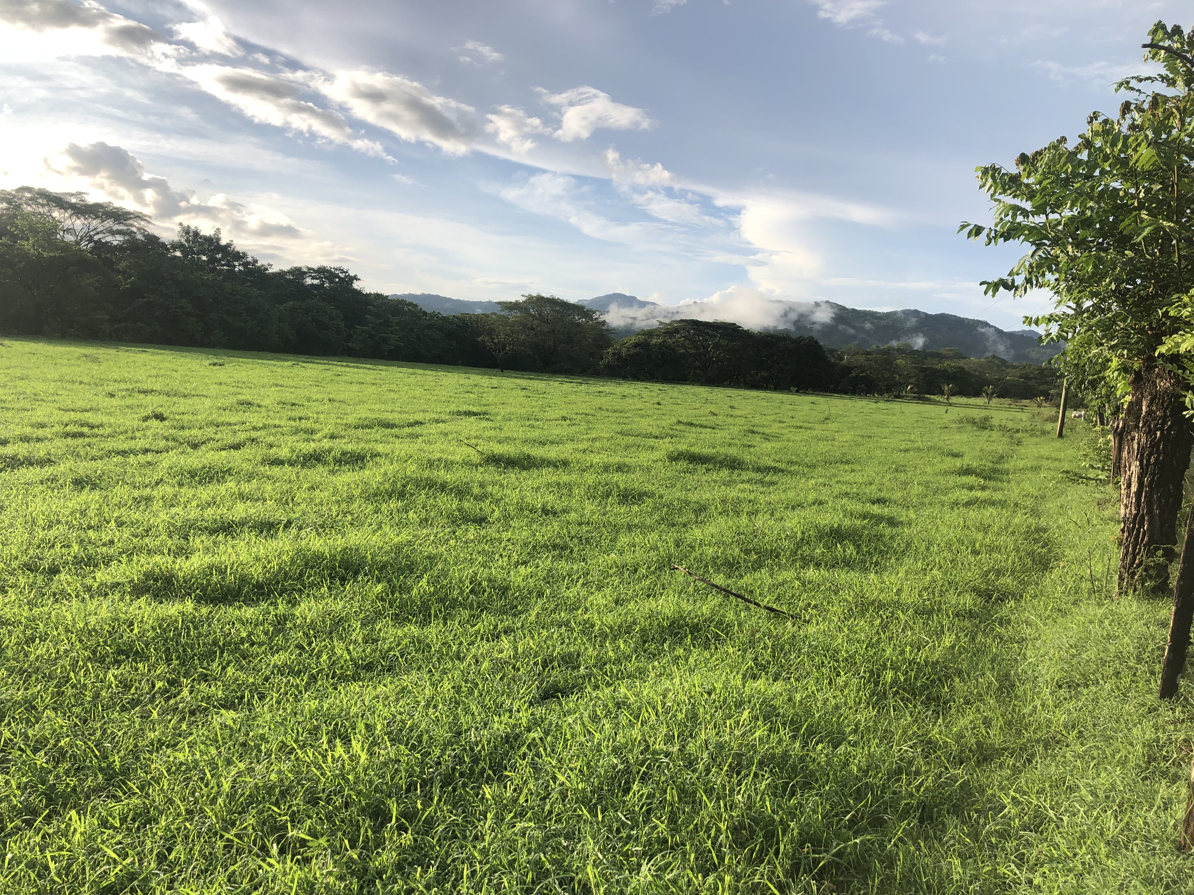 0 bed Land For Sale in Samara, Guanacaste - thumb 5