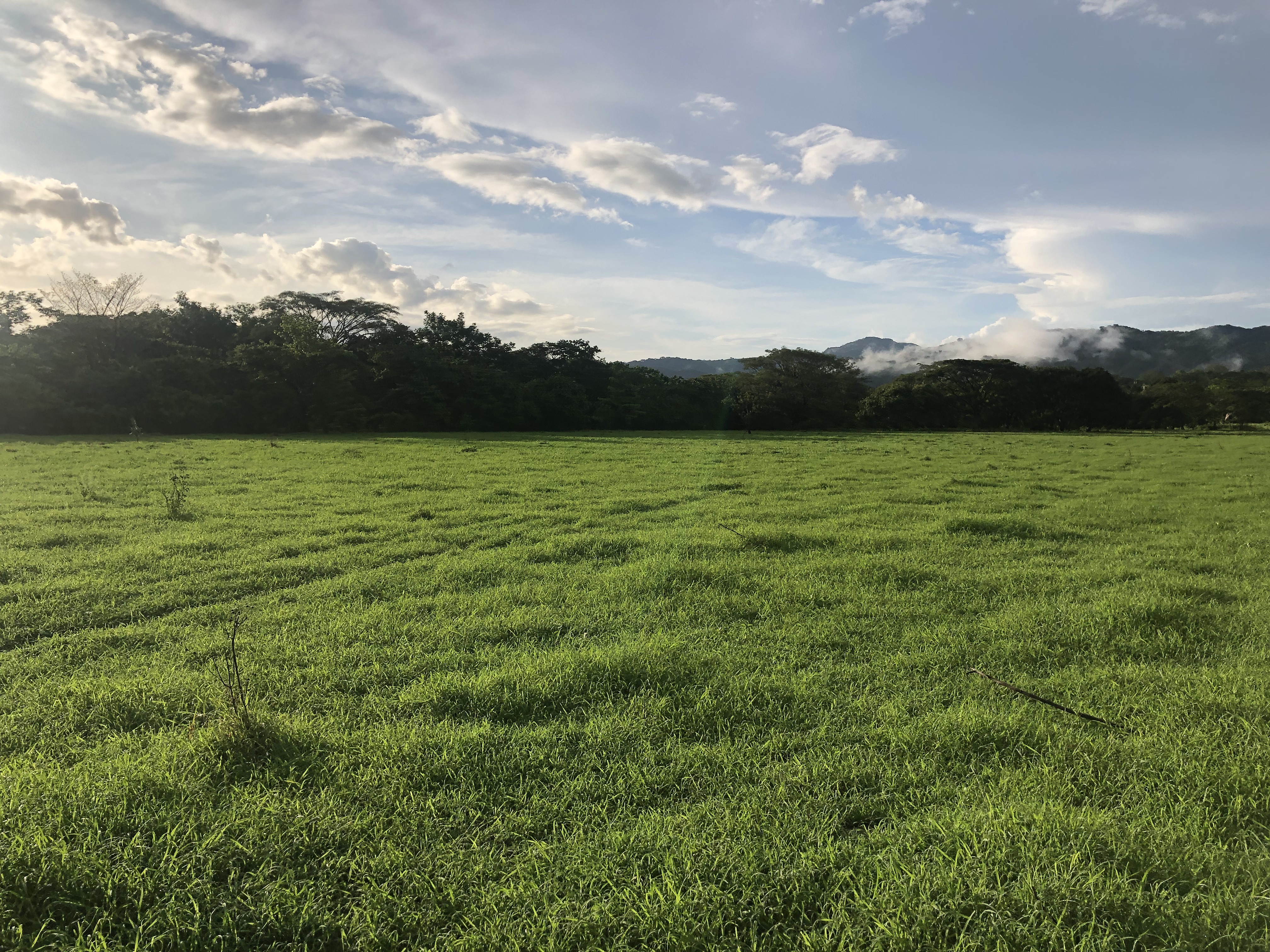 0 bed Land For Sale in Samara, Guanacaste - thumb 2