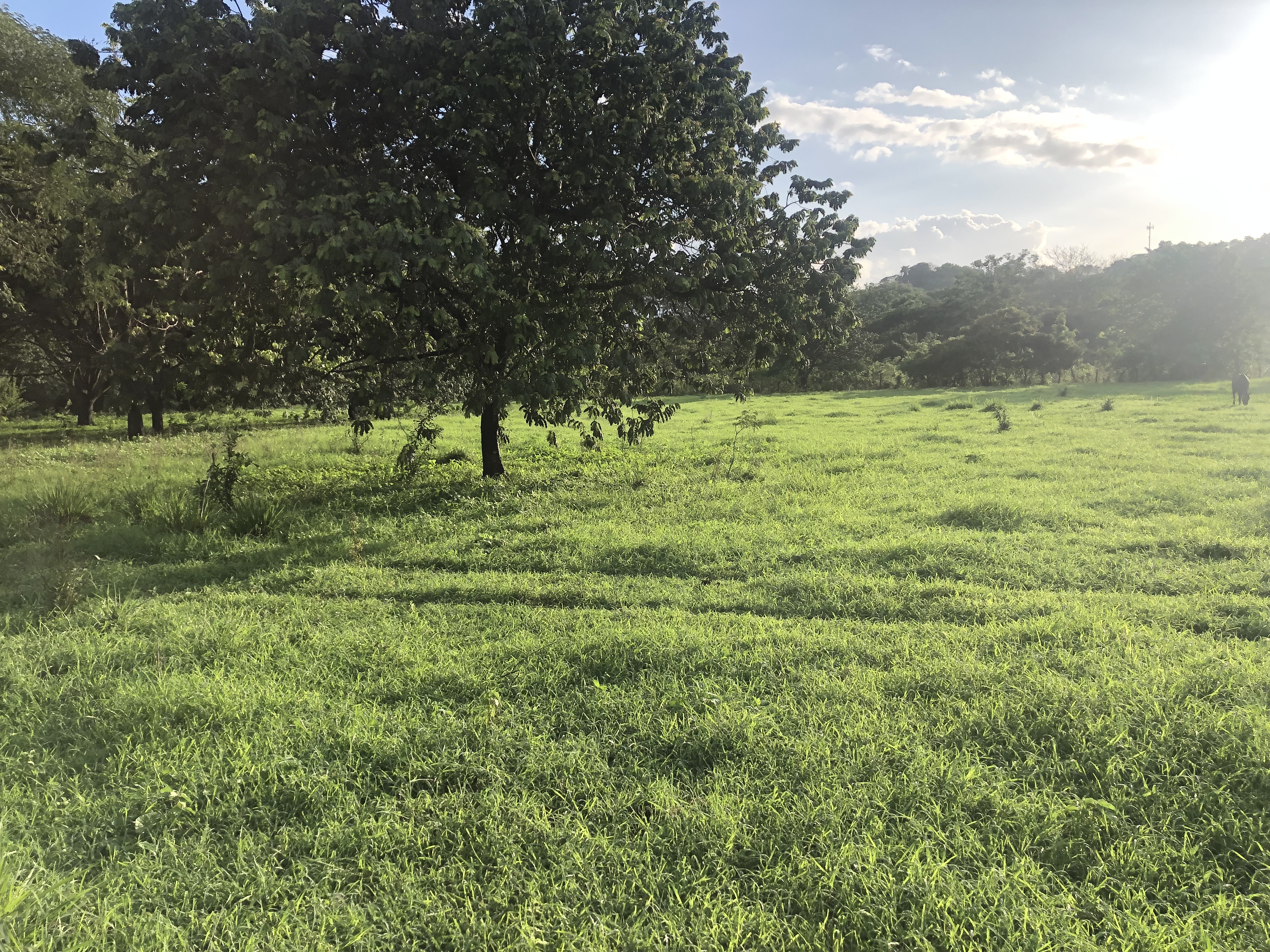 0 bed Land For Sale in Samara, Guanacaste - thumb 3