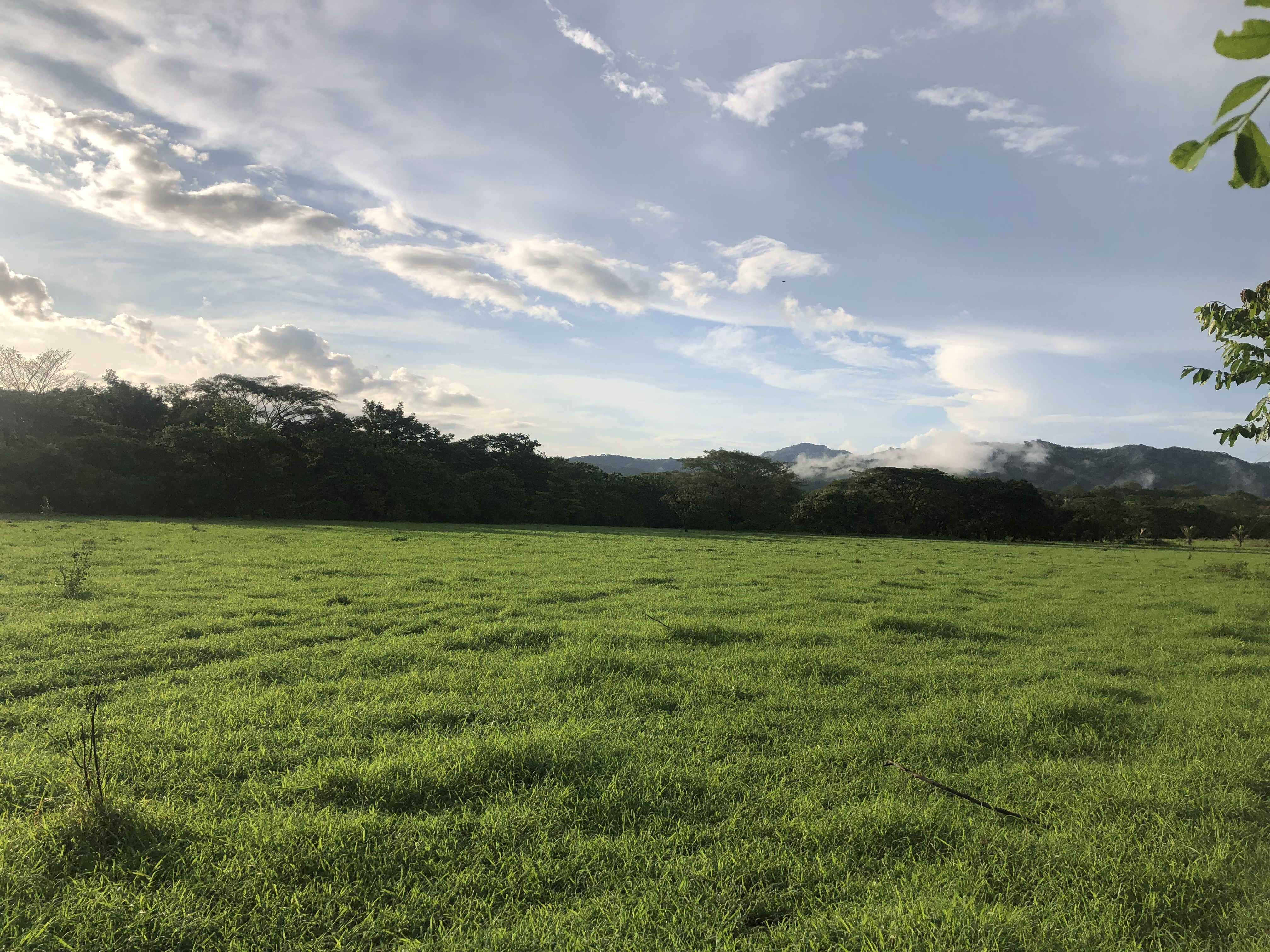 0 bed Land For Sale in Samara, Guanacaste - thumb 7