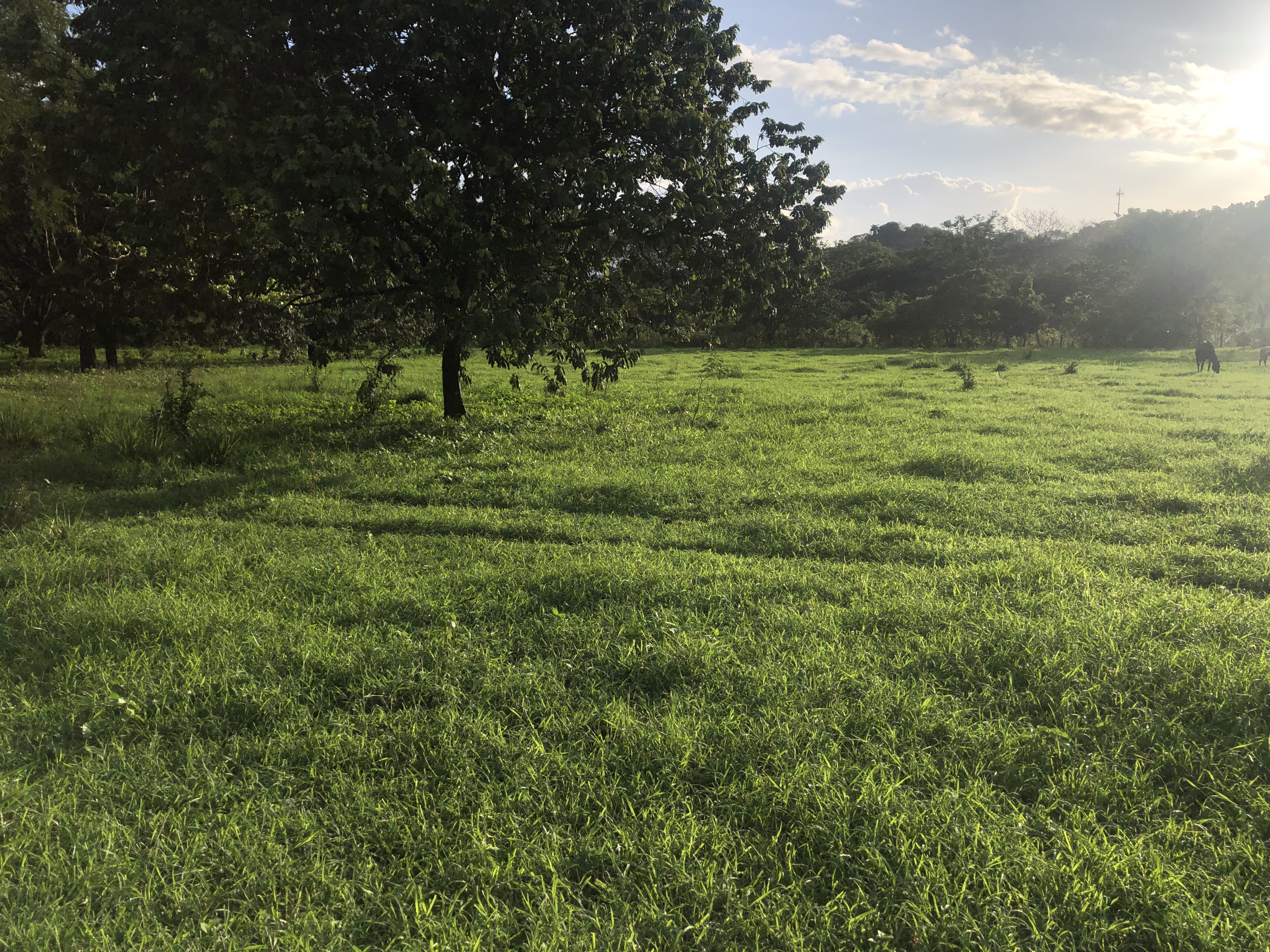 0 bed Land For Sale in Samara, Guanacaste - thumb 9