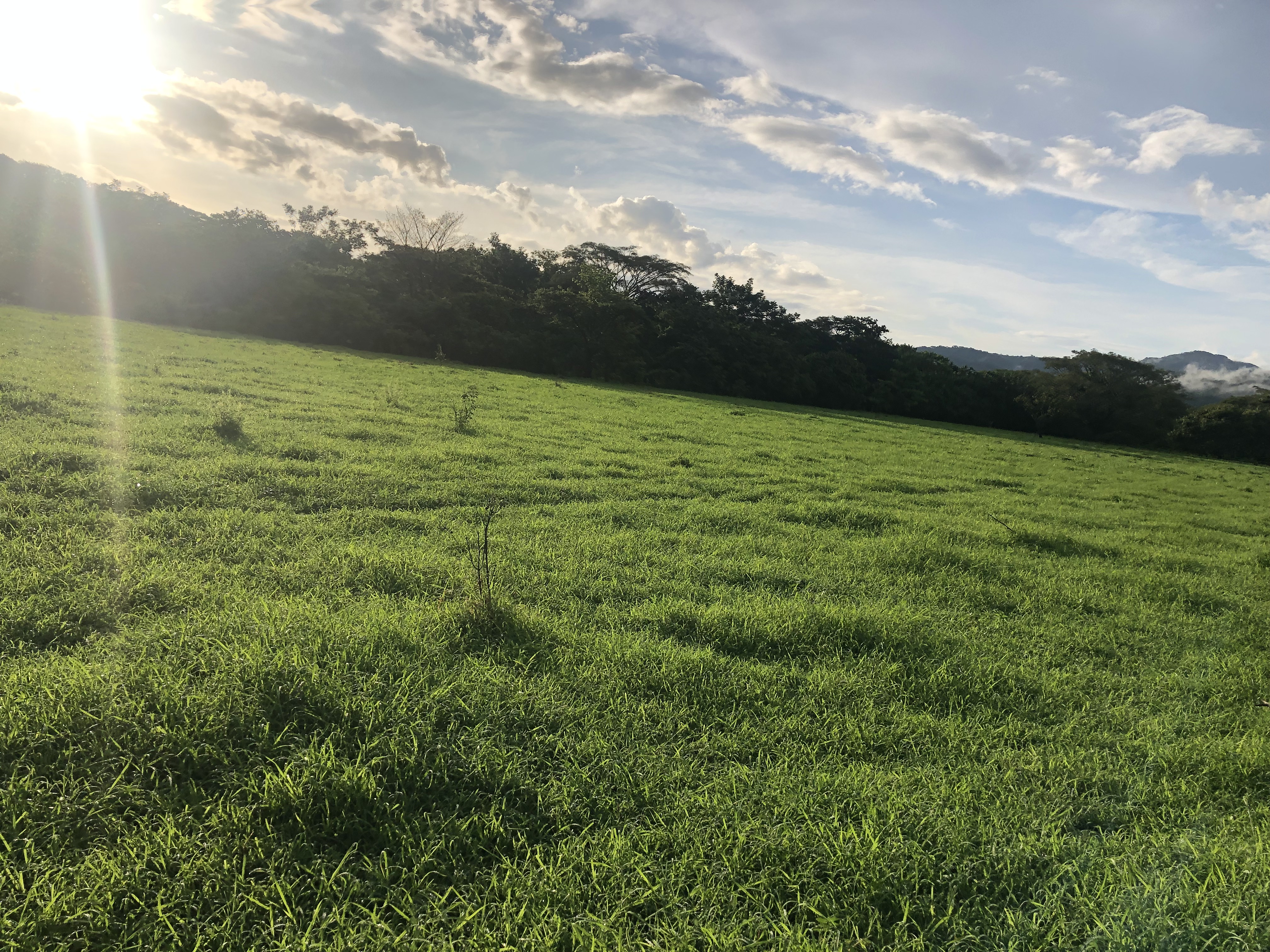 0 bed Land For Sale in Samara, Guanacaste - thumb 8