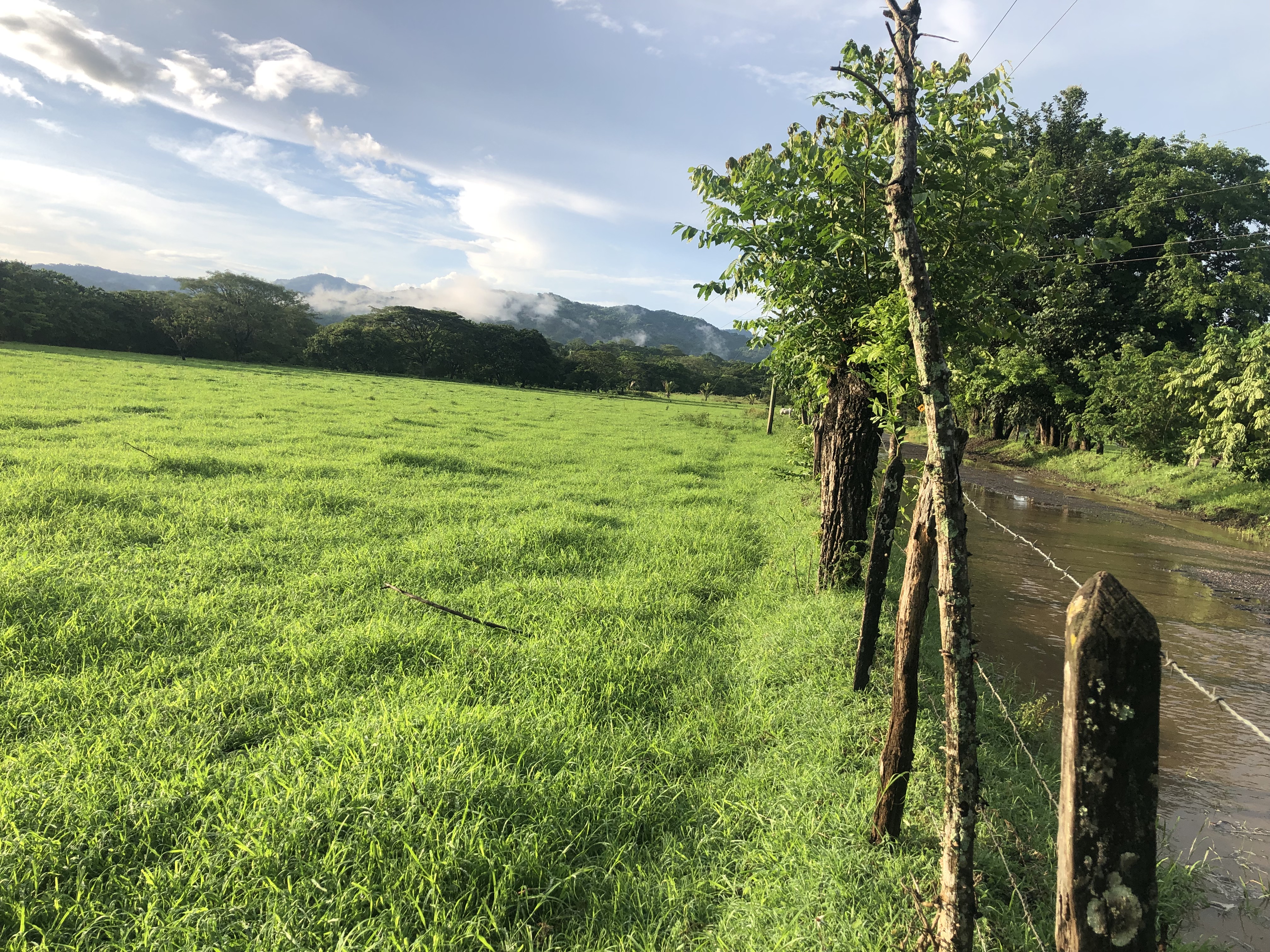 0 bed Land For Sale in Samara, Guanacaste - thumb 4