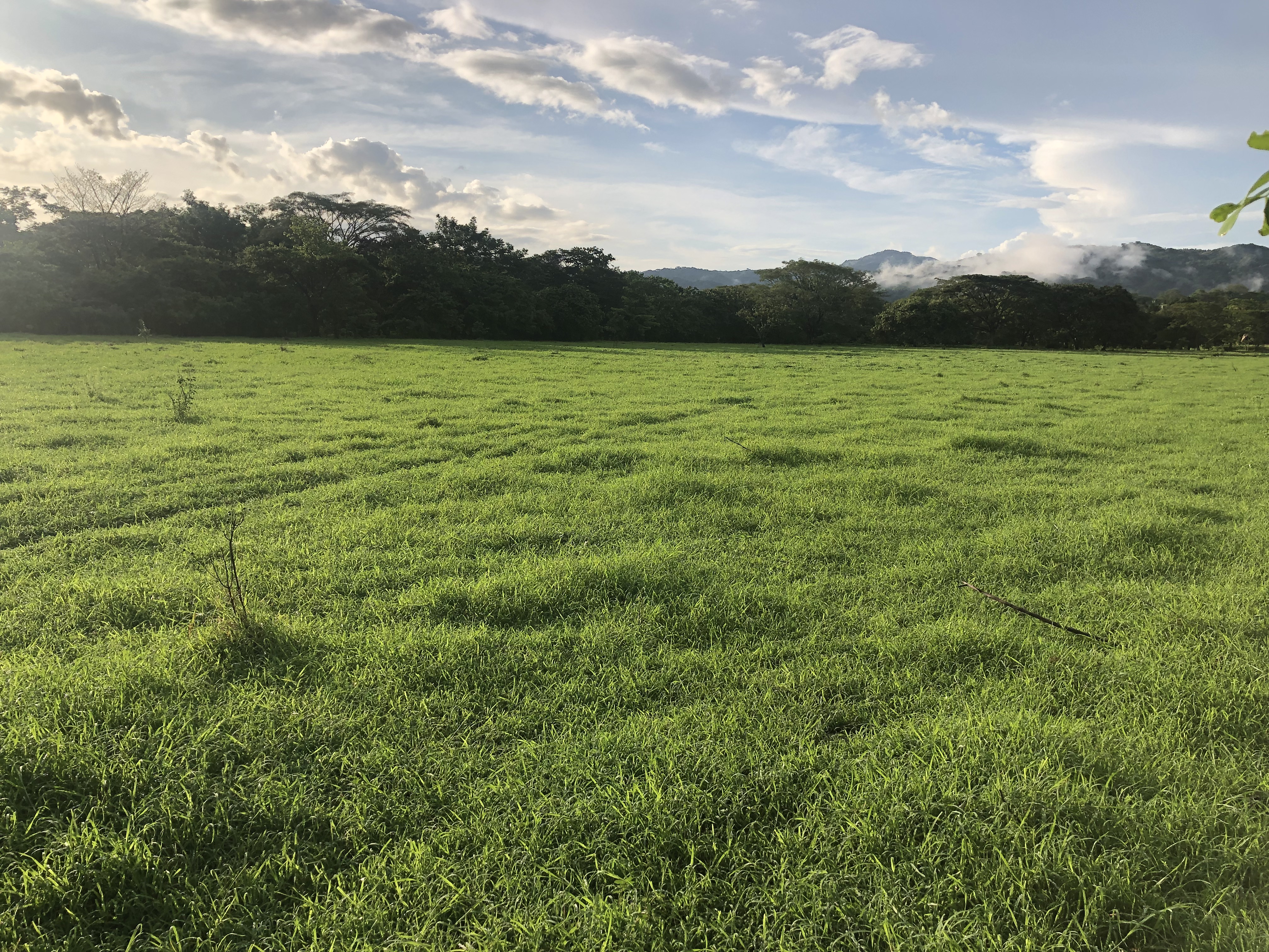 0 bed Land For Sale in Samara, Guanacaste - thumb 1