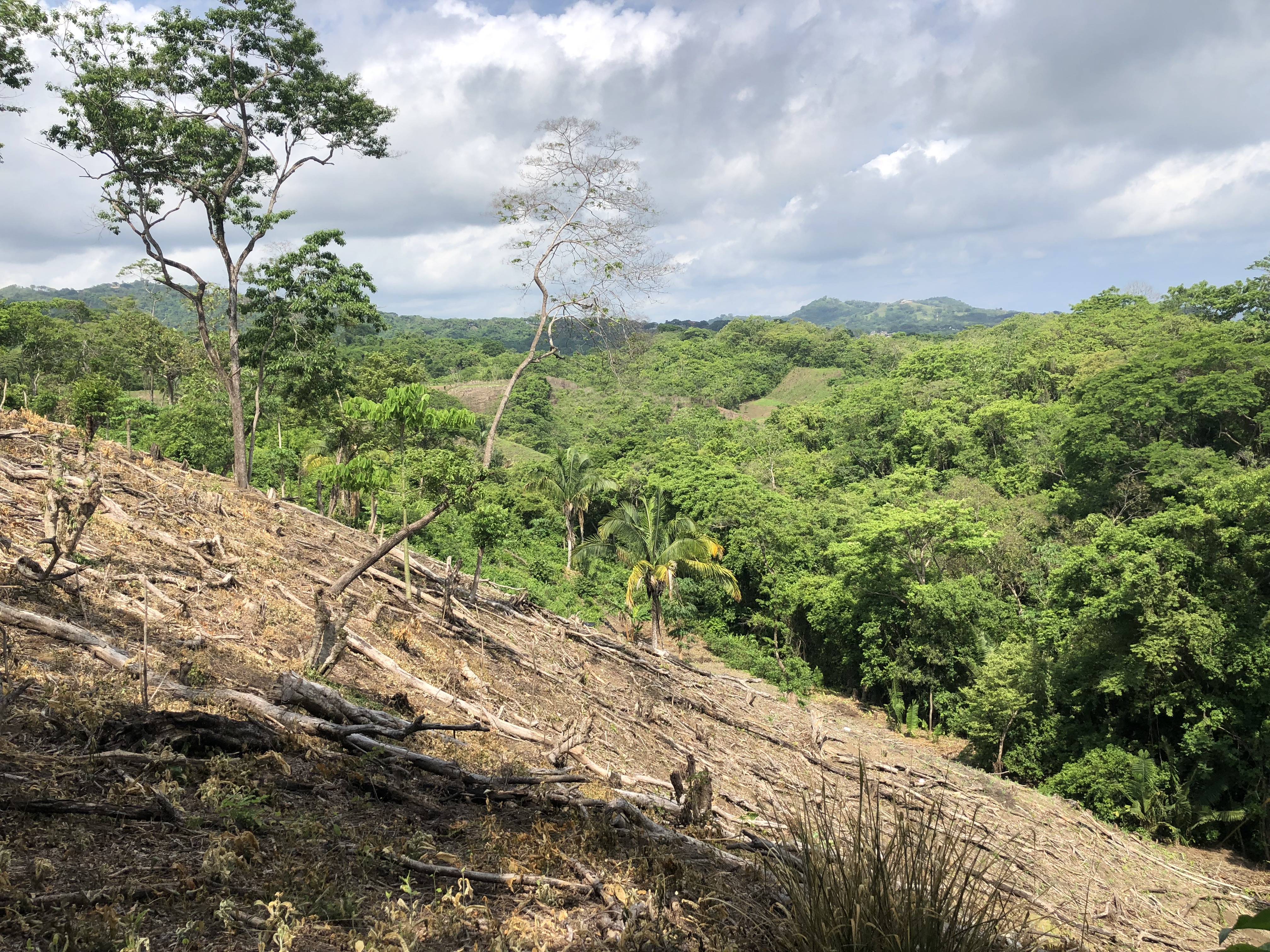 0 bed Land For Sale in Samara, Guanacaste - thumb 17