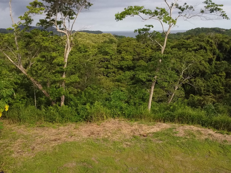 0 bed Land For Sale in Samara, Guanacaste - photo 21