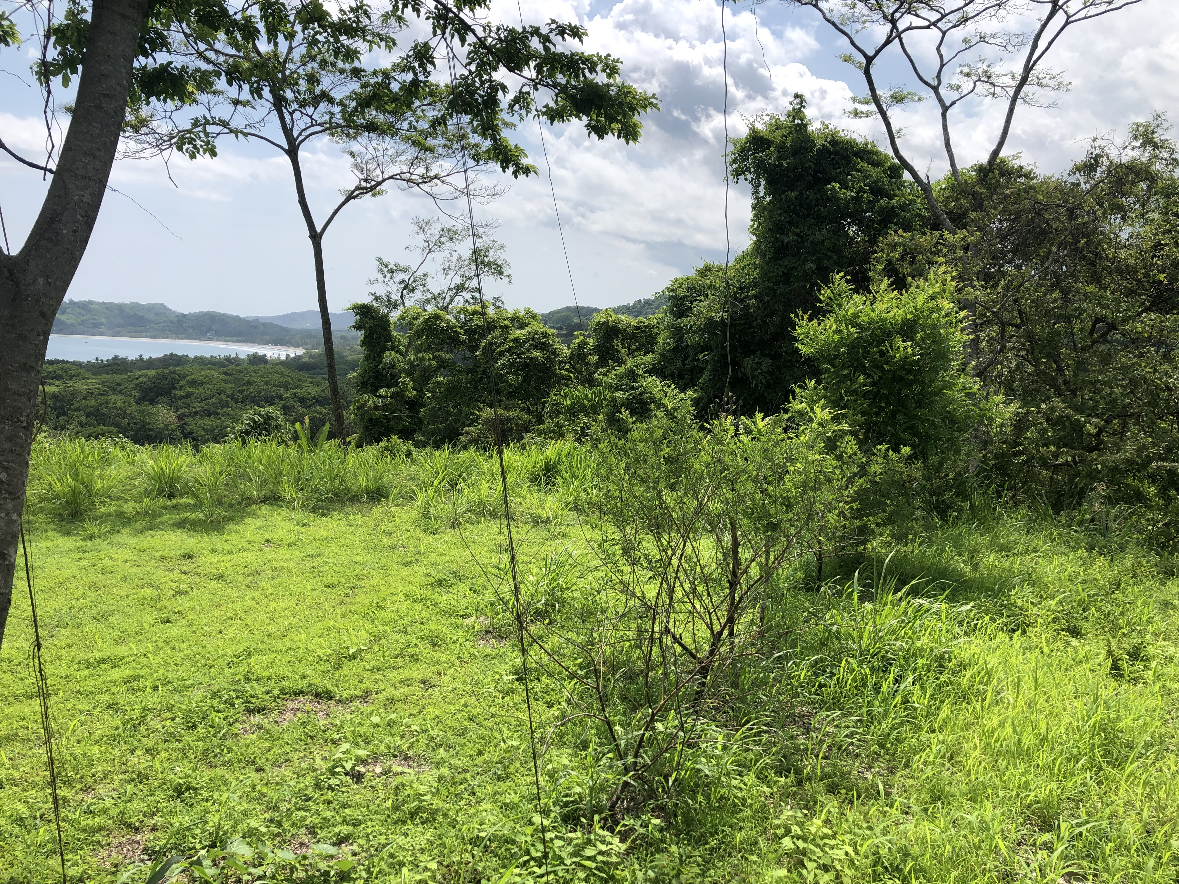 0 bed Land For Sale in Samara, Guanacaste - thumb 7