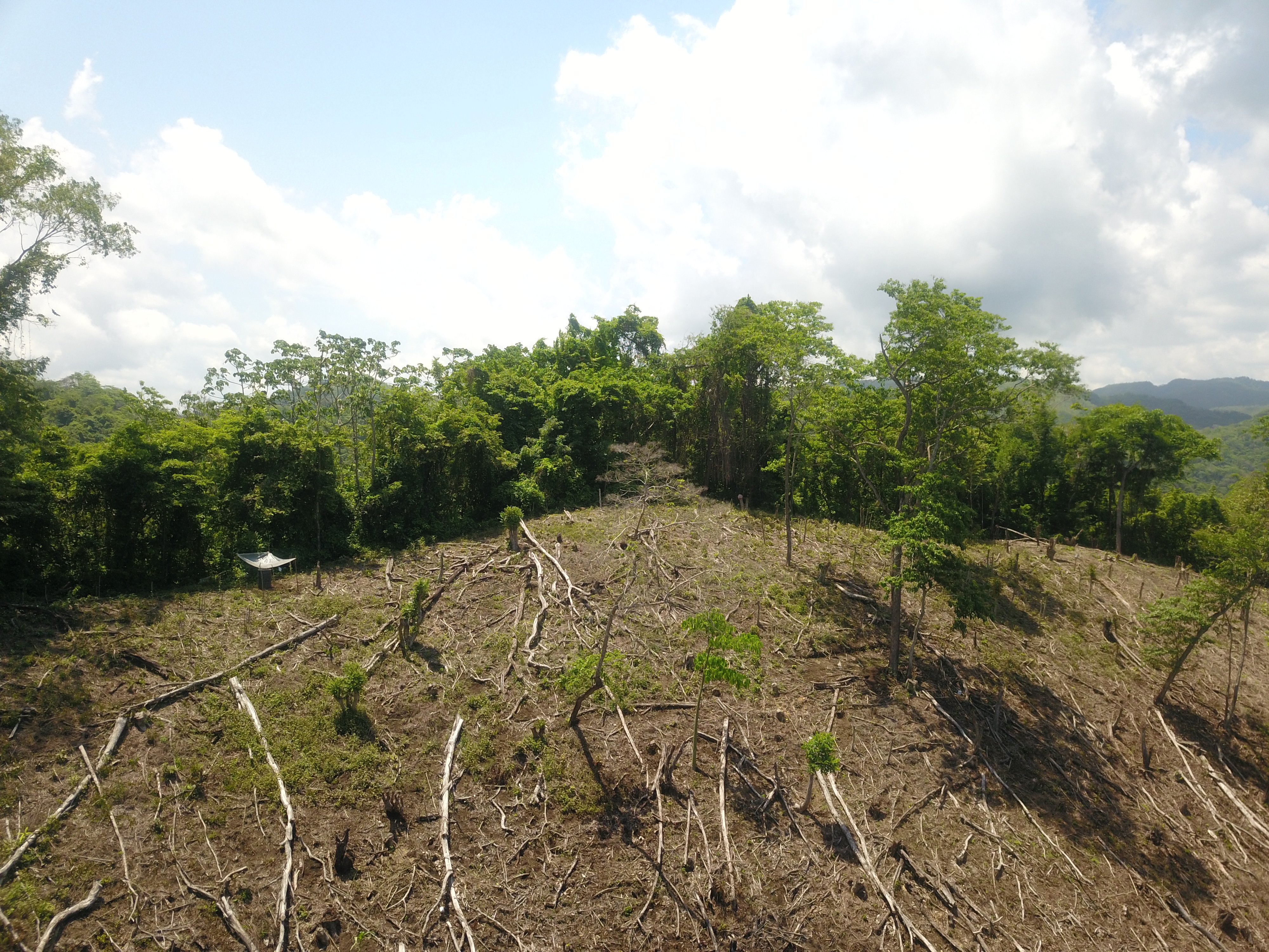 0 bed Land For Sale in Samara, Guanacaste - thumb 10