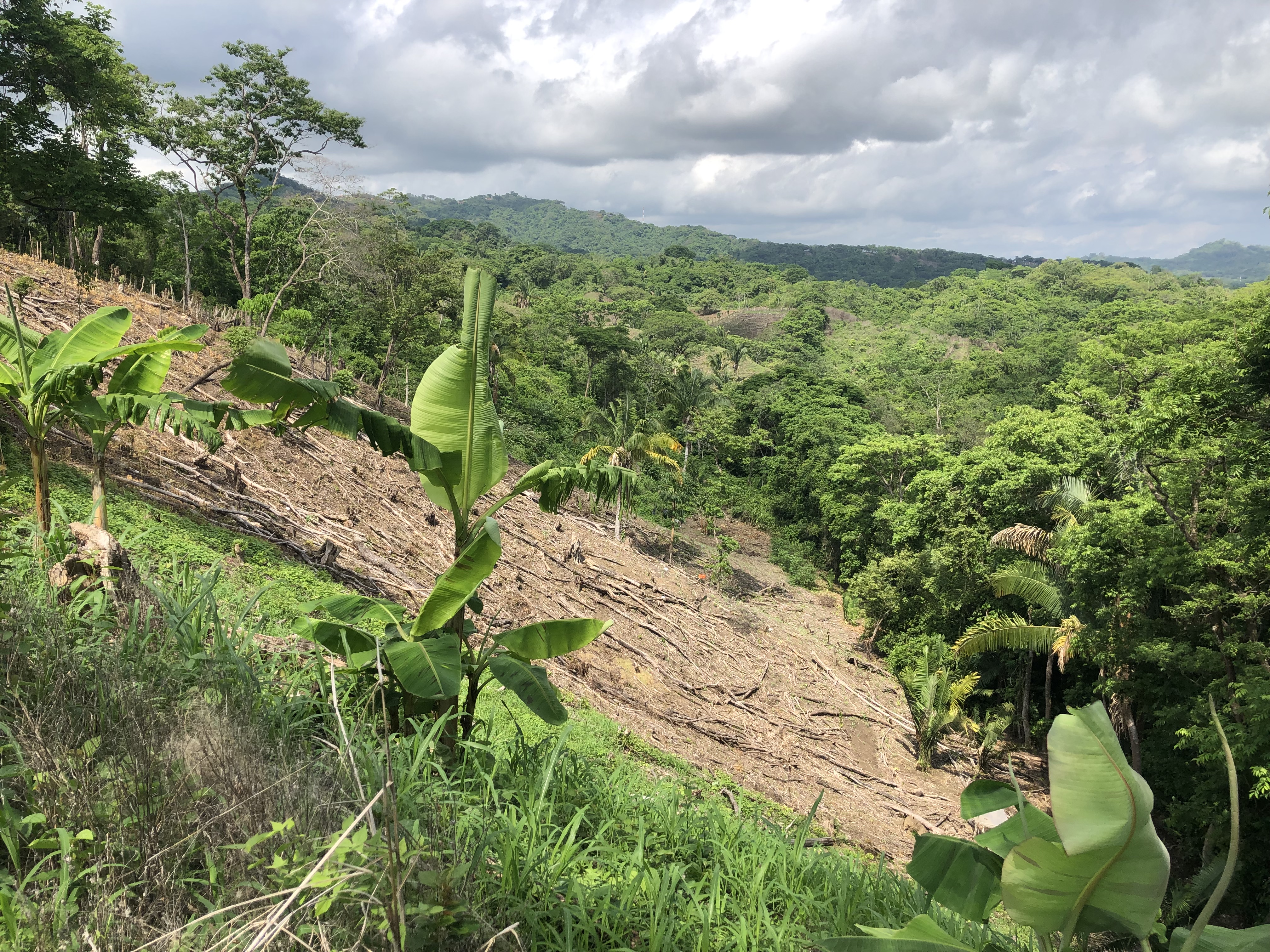 0 bed Land For Sale in Samara, Guanacaste - thumb 15