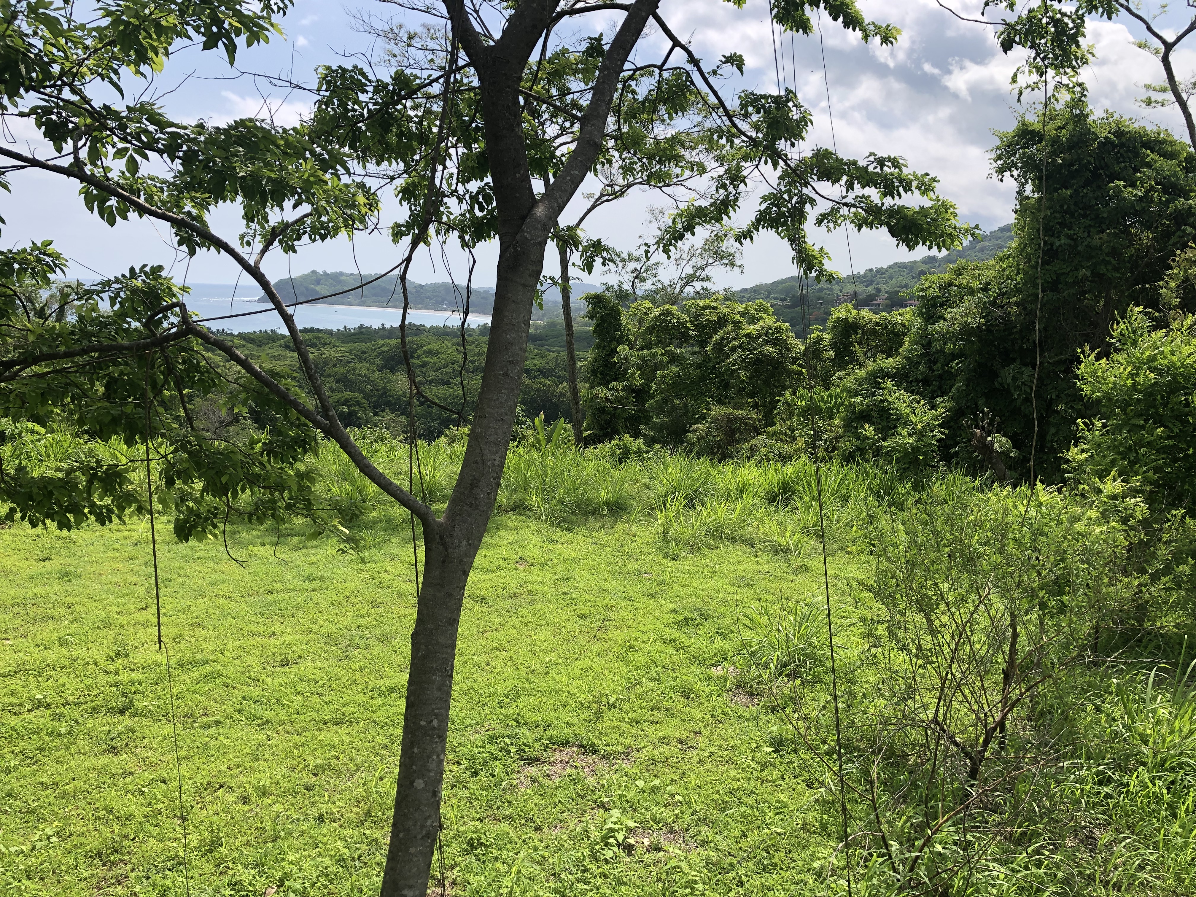 0 bed Land For Sale in Samara, Guanacaste - thumb 8