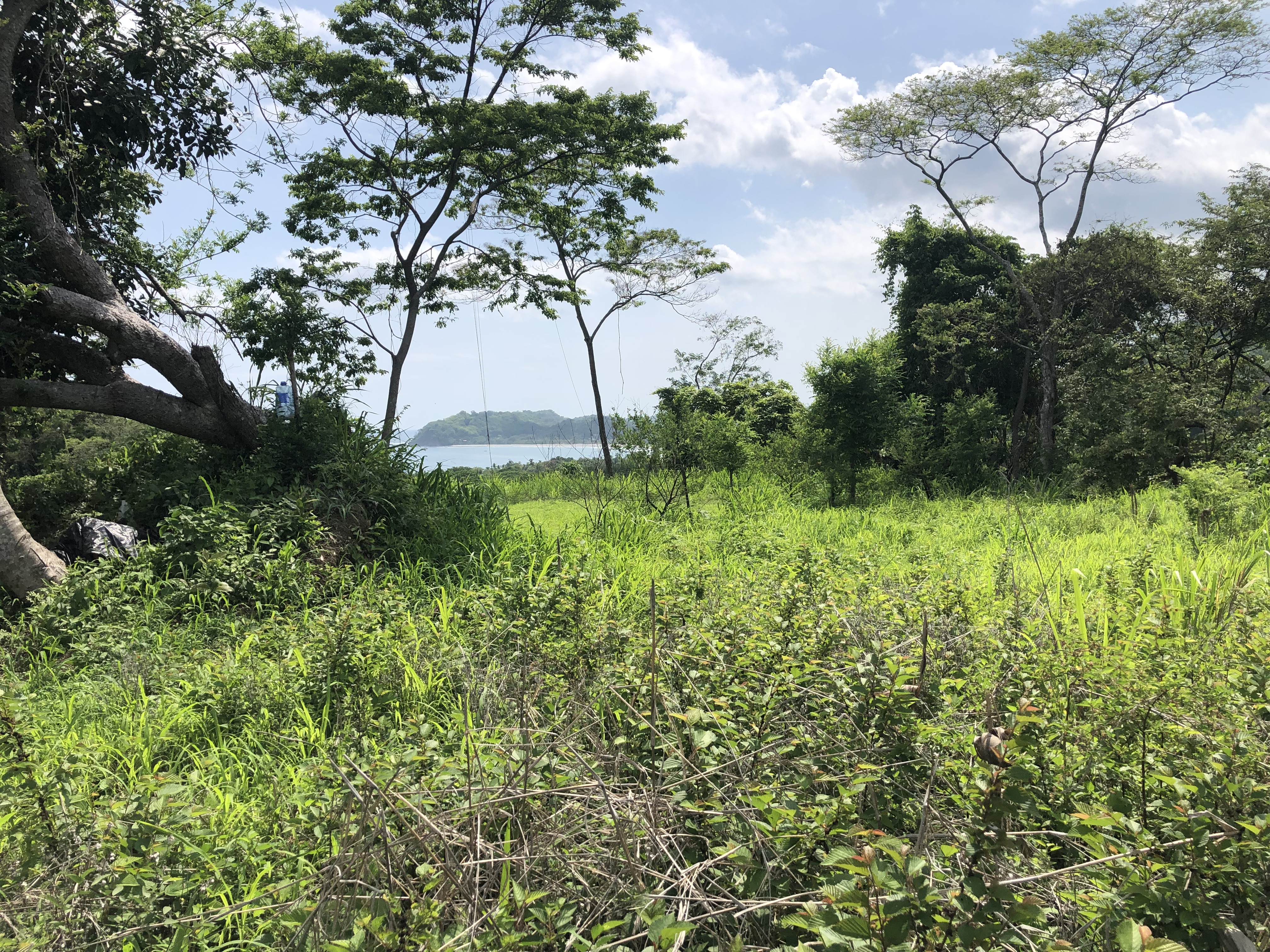 0 bed Land For Sale in Samara, Guanacaste - thumb 16
