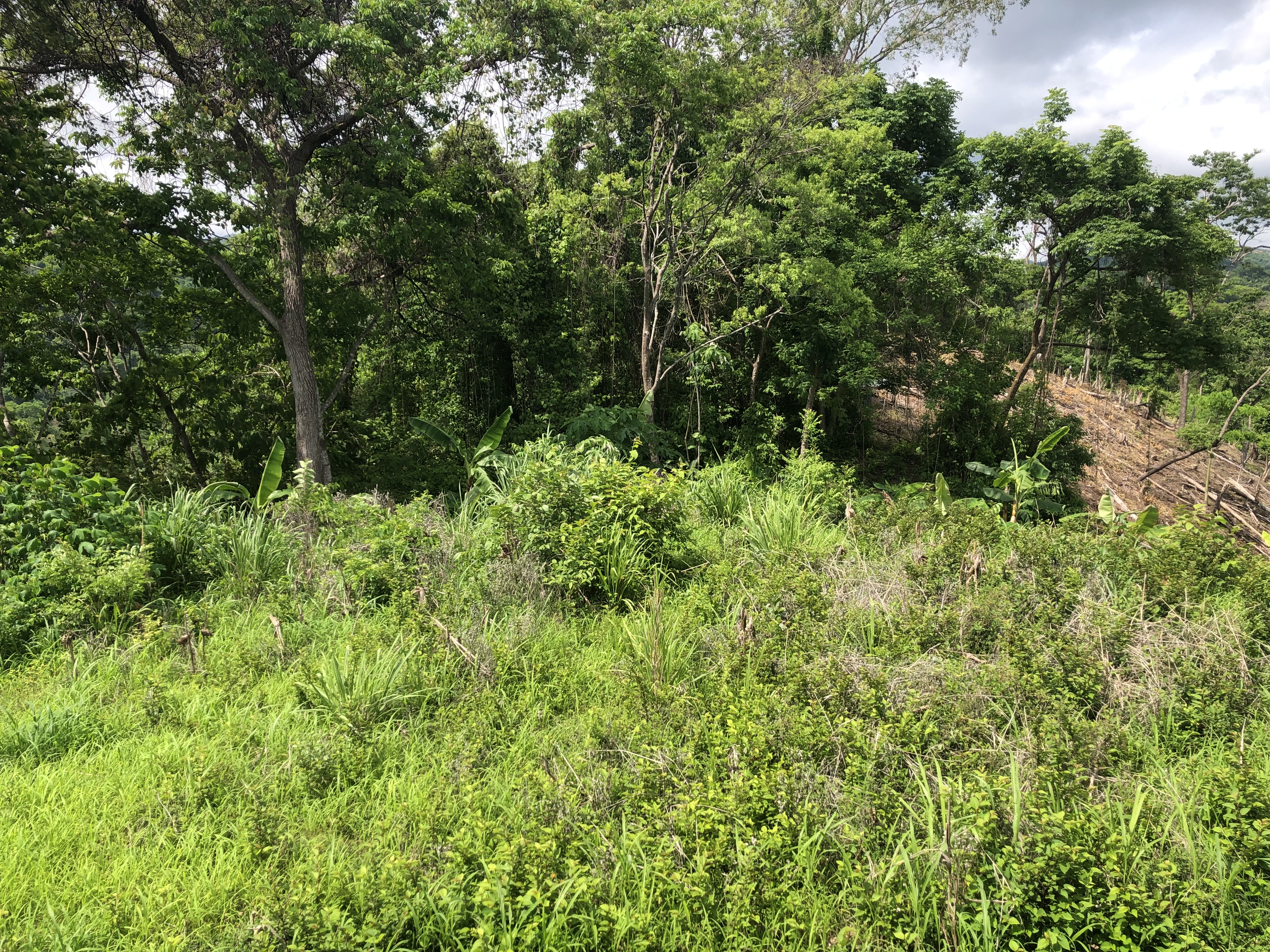 0 bed Land For Sale in Samara, Guanacaste - thumb 6
