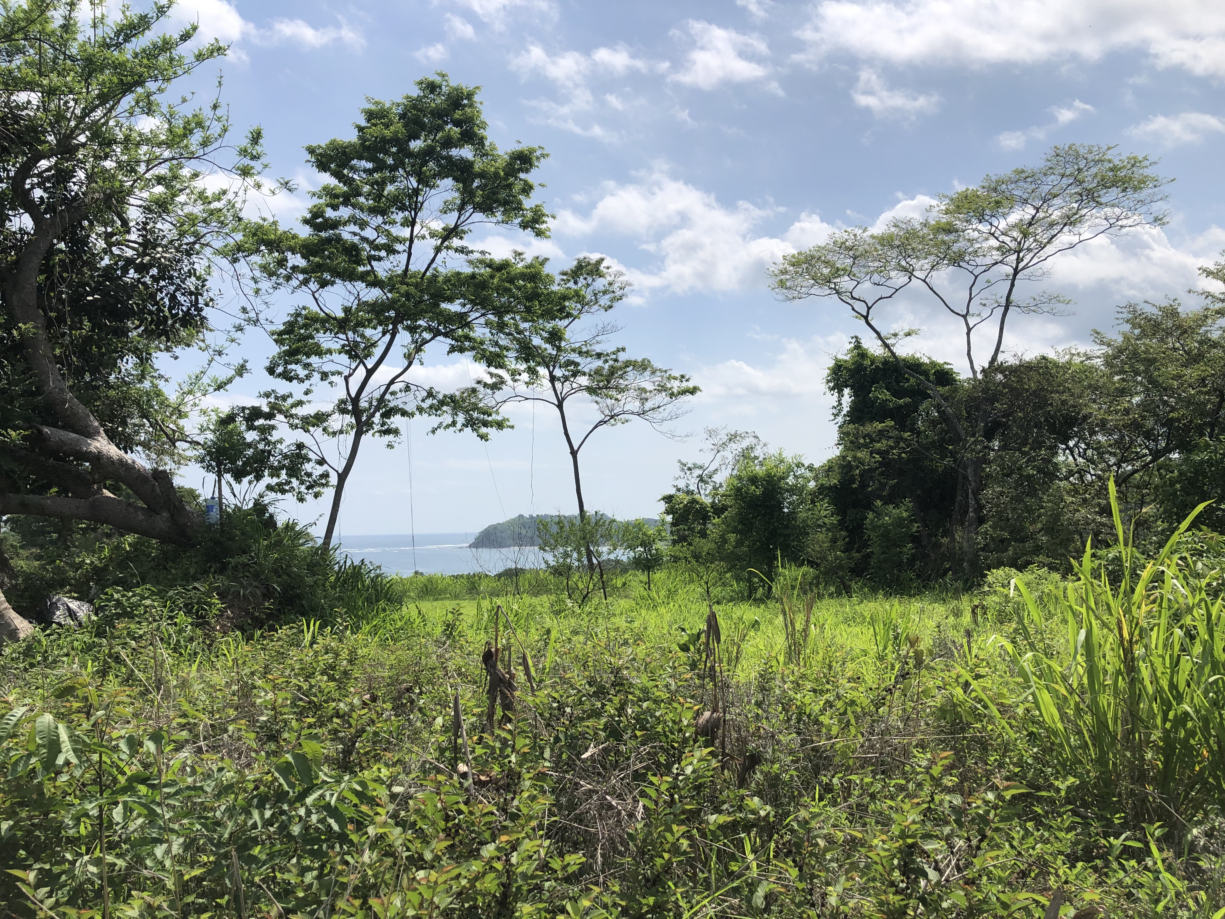 0 bed Land For Sale in Samara, Guanacaste - thumb 3