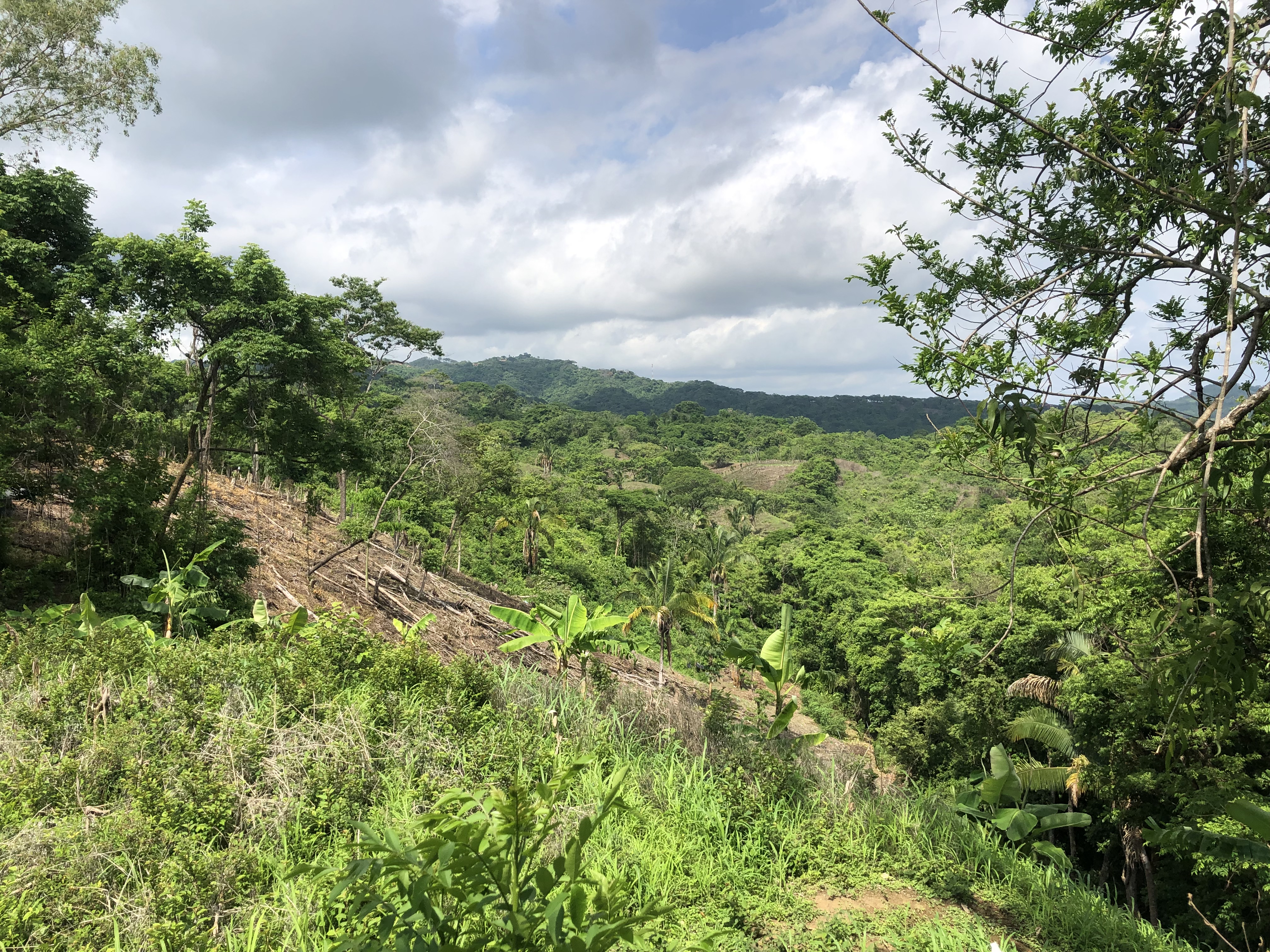 0 bed Land For Sale in Samara, Guanacaste - thumb 14