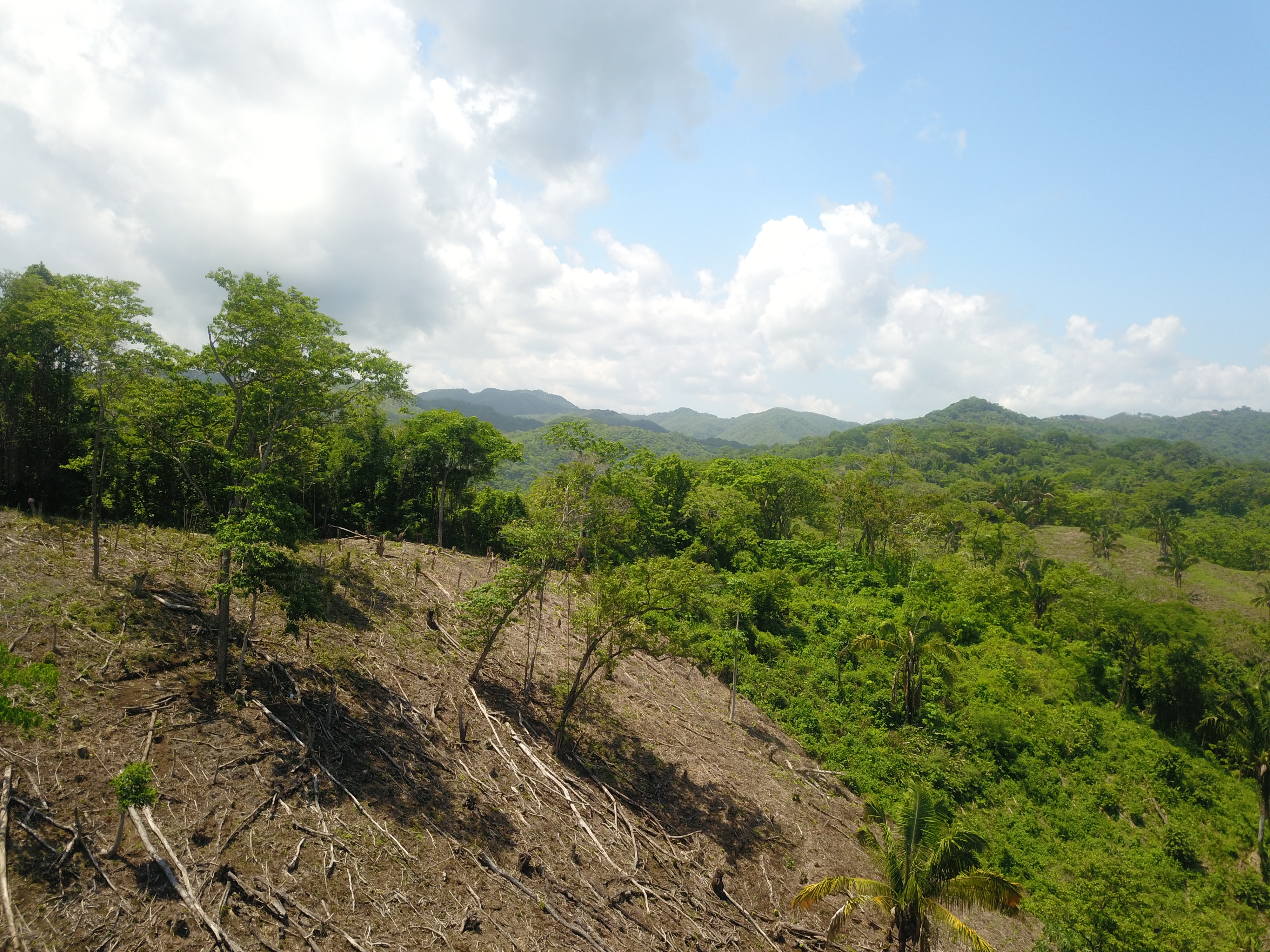 0 bed Land For Sale in Samara, Guanacaste - thumb 11