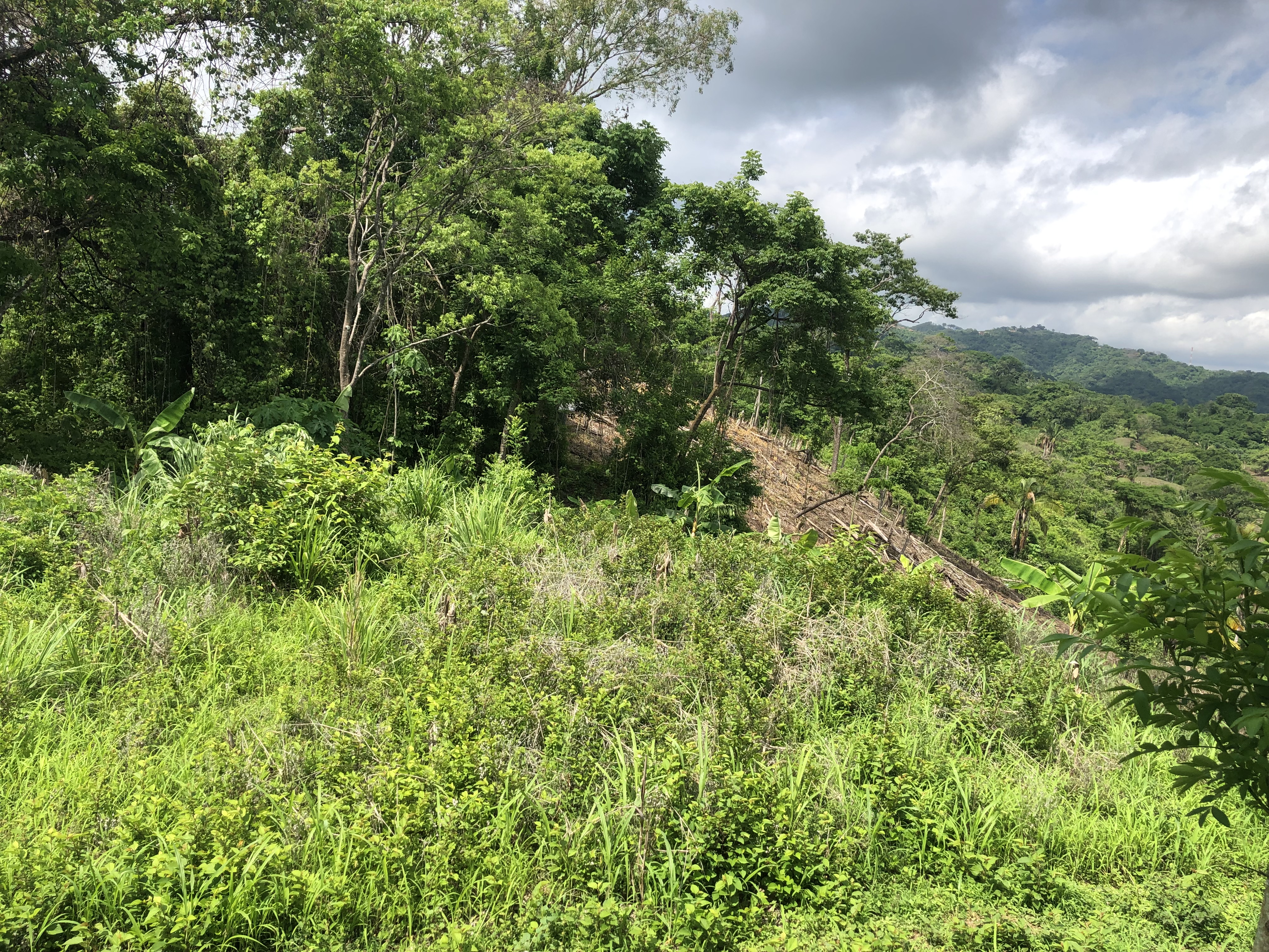 0 bed Land For Sale in Samara, Guanacaste - thumb 5