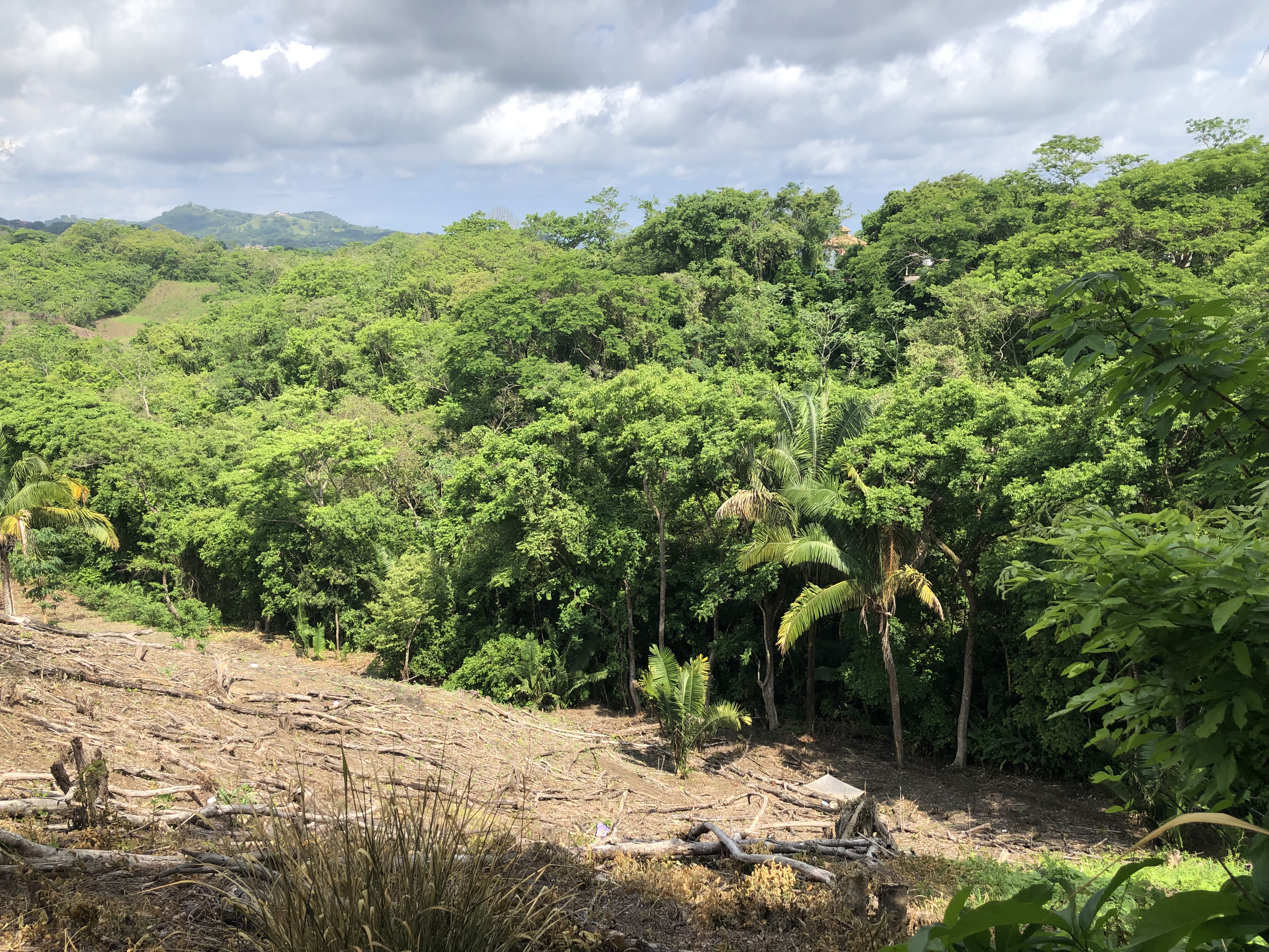 0 bed Land For Sale in Samara, Guanacaste - thumb 18