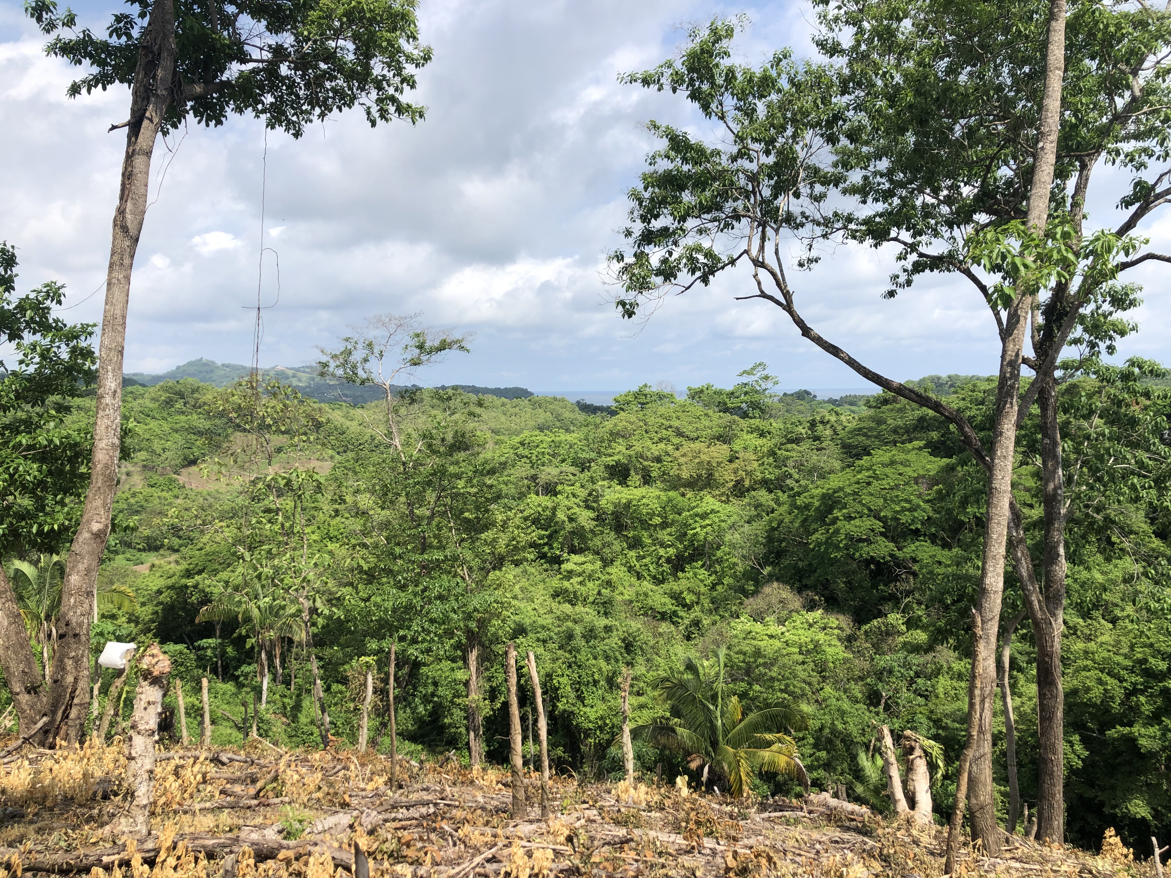 0 bed Land For Sale in Samara, Guanacaste - thumb 2