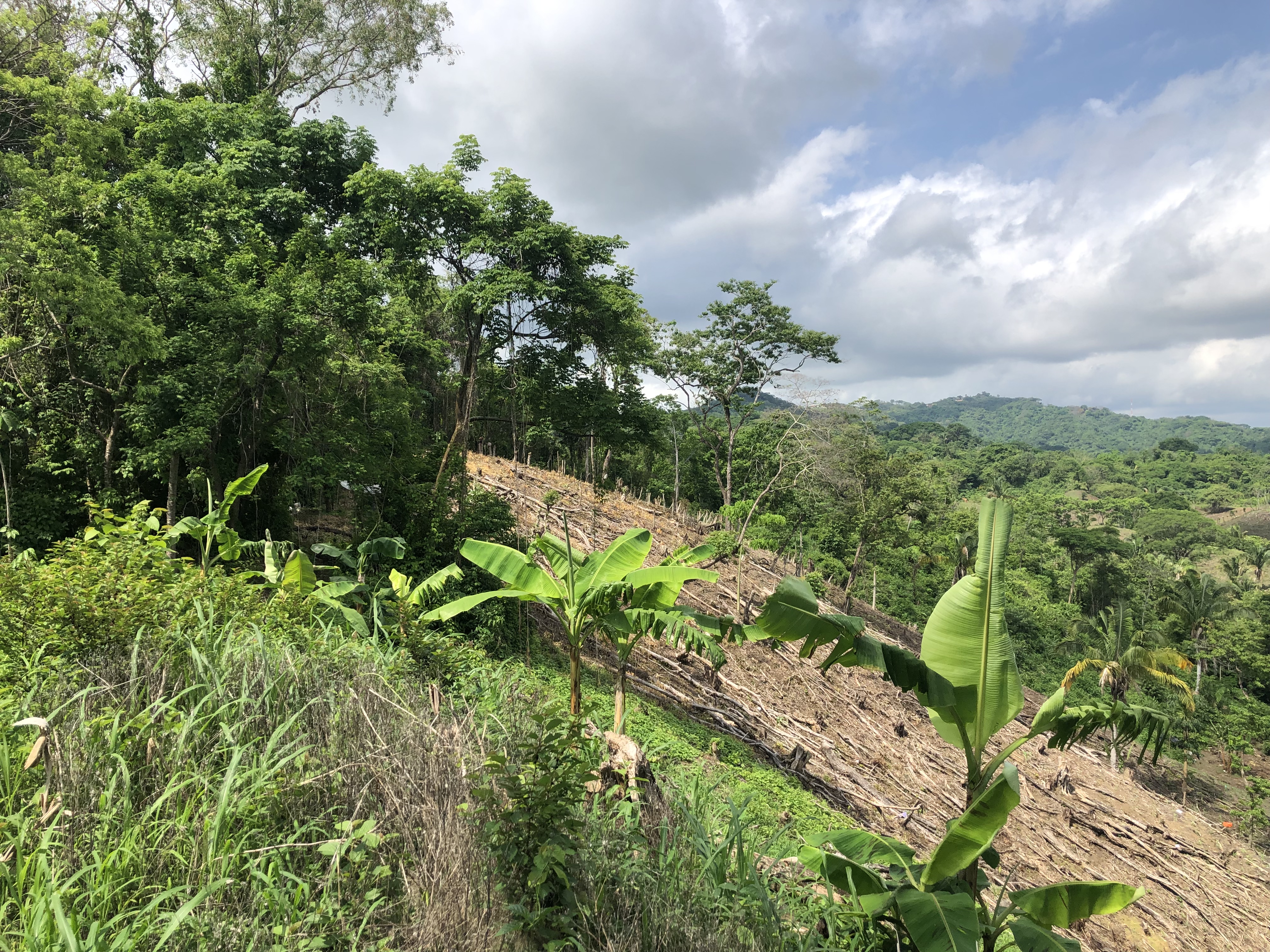 0 bed Land For Sale in Samara, Guanacaste - thumb 4