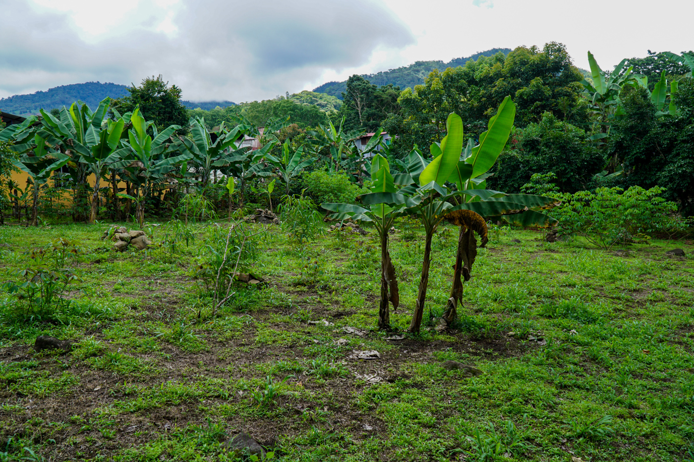 2 bed Single Family Homes For Sale in Perez Zeledon, San Jose - thumb 11