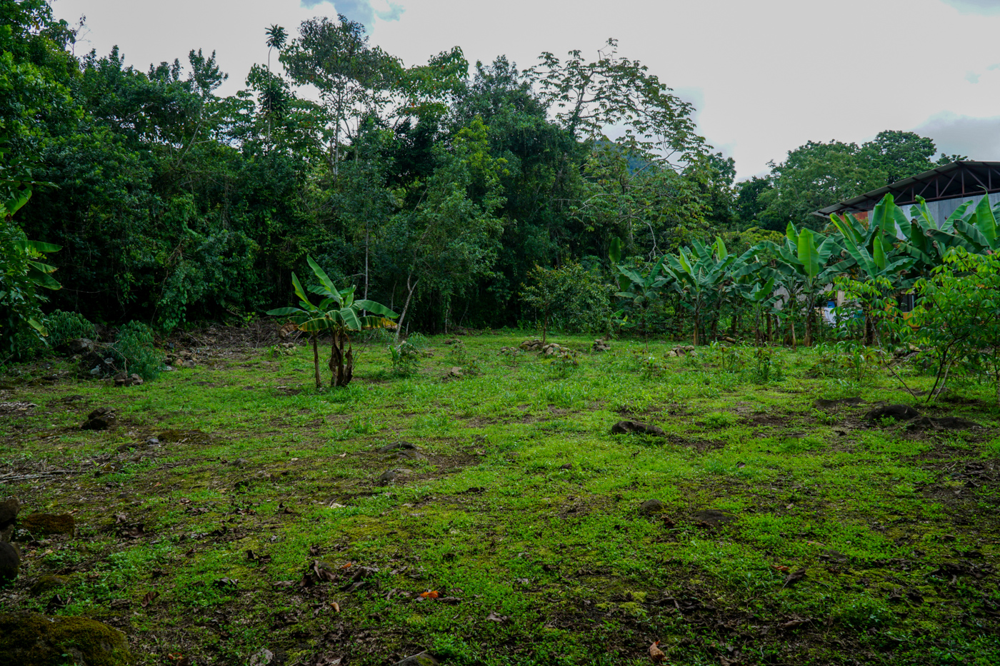 2 bed Single Family Homes For Sale in Perez Zeledon, San Jose - thumb 9