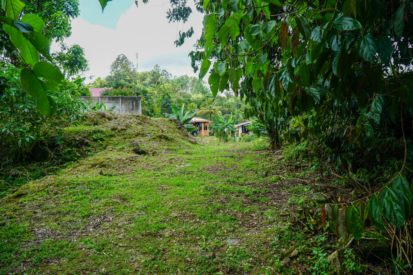 2 bed Single Family Homes For Sale in Perez Zeledon, San Jose - thumb 10