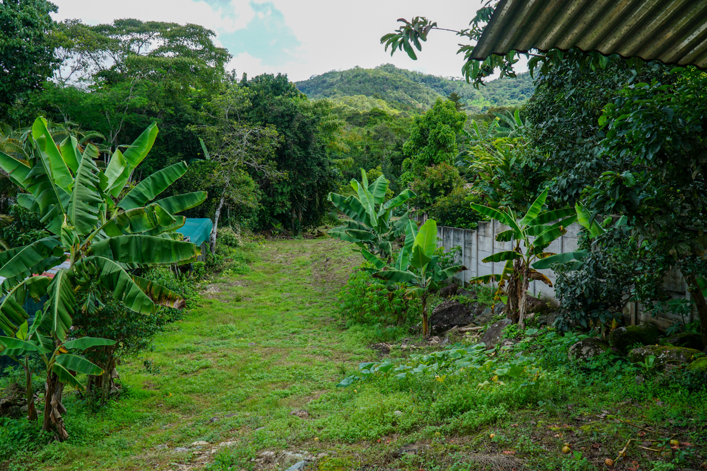 2 bed Single Family Homes For Sale in Perez Zeledon, San Jose - thumb 4