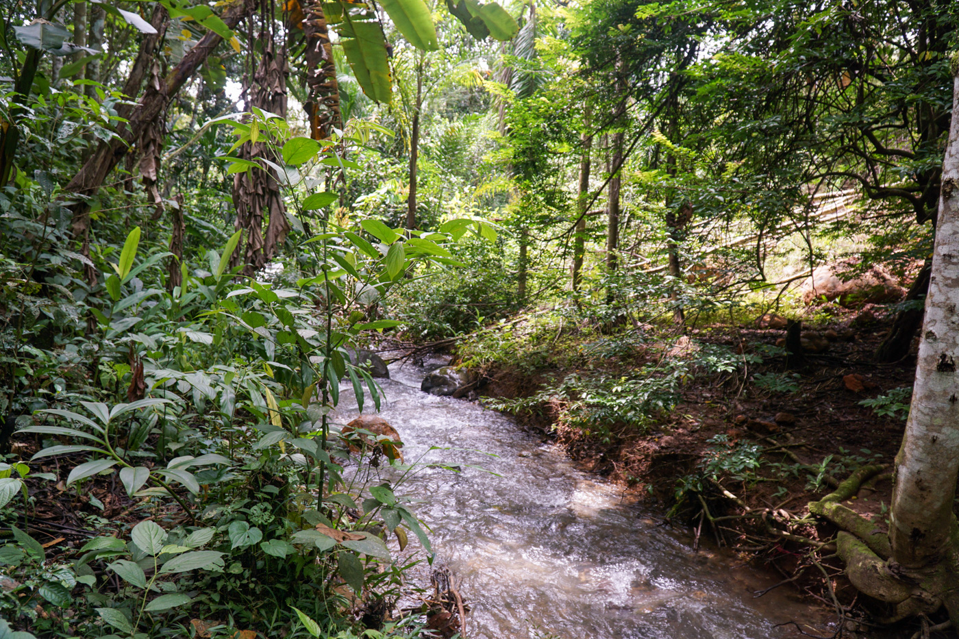 2 bed Single Family Homes For Sale in Perez Zeledon, San Jose - thumb 20