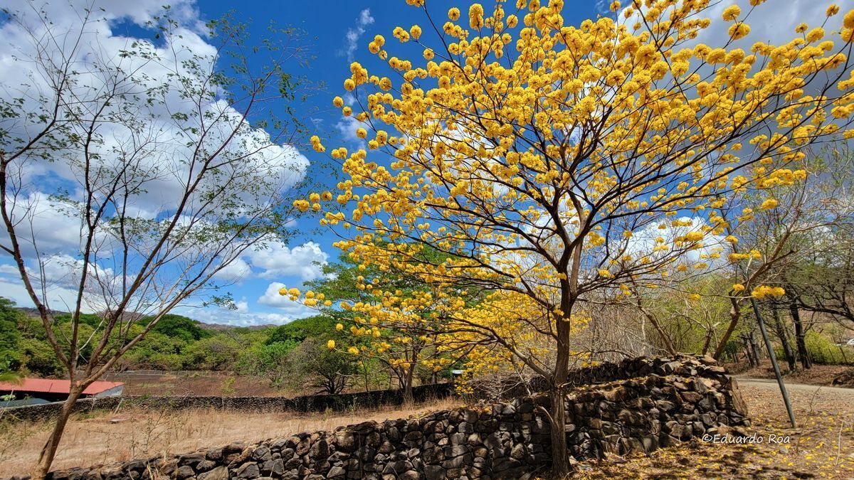 0 bed Land For Sale in Playas Del Coco, Guanacaste - thumb 1