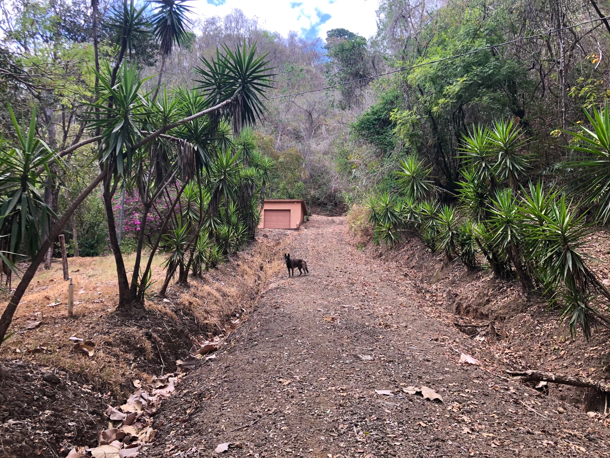 0 bed Land For Sale in Nosara, Guanacaste - thumb 5