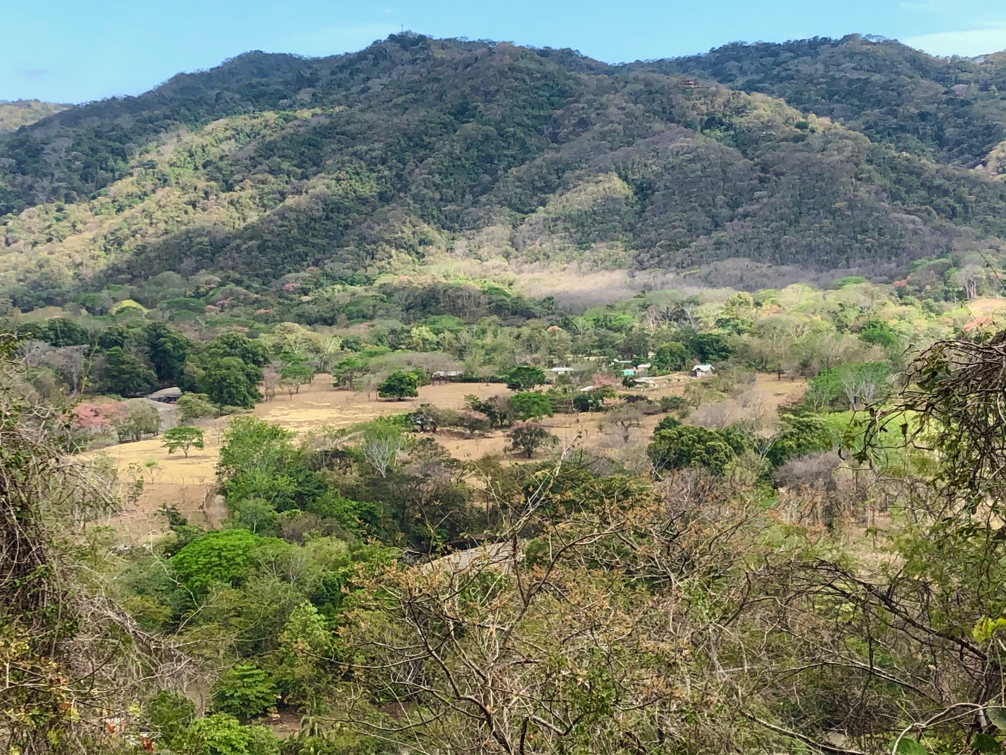 0 bed Land For Sale in Nosara, Guanacaste - thumb 11