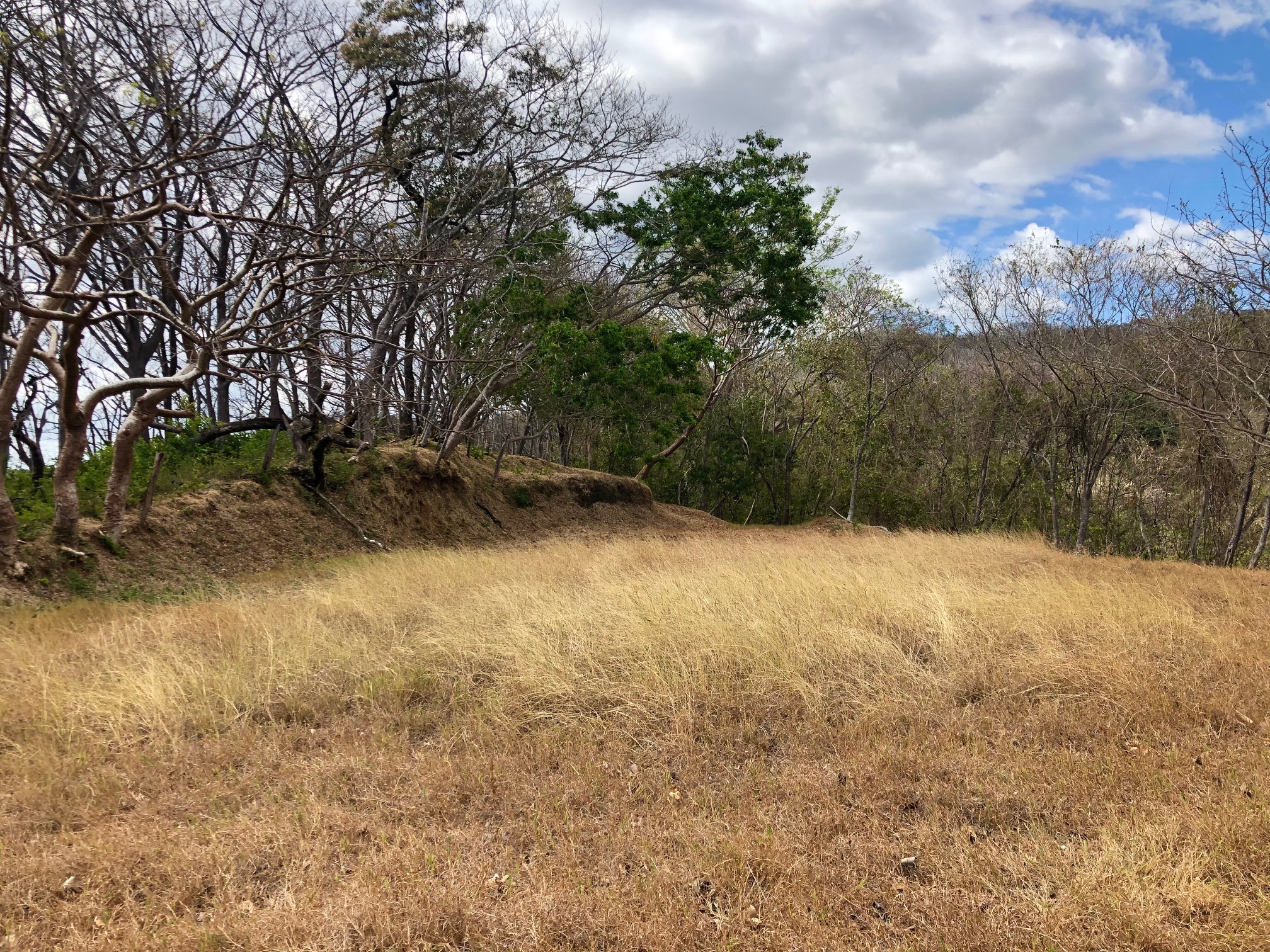 0 bed Land For Sale in Nosara, Guanacaste - thumb 14
