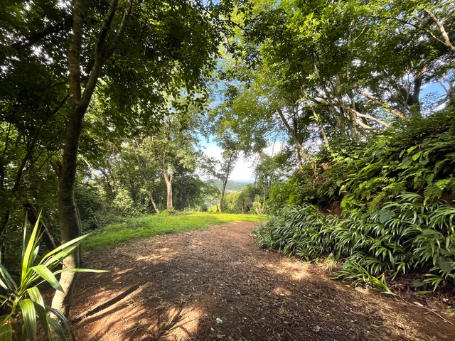 0 bed Land For Sale in Nosara, Guanacaste - thumb 6