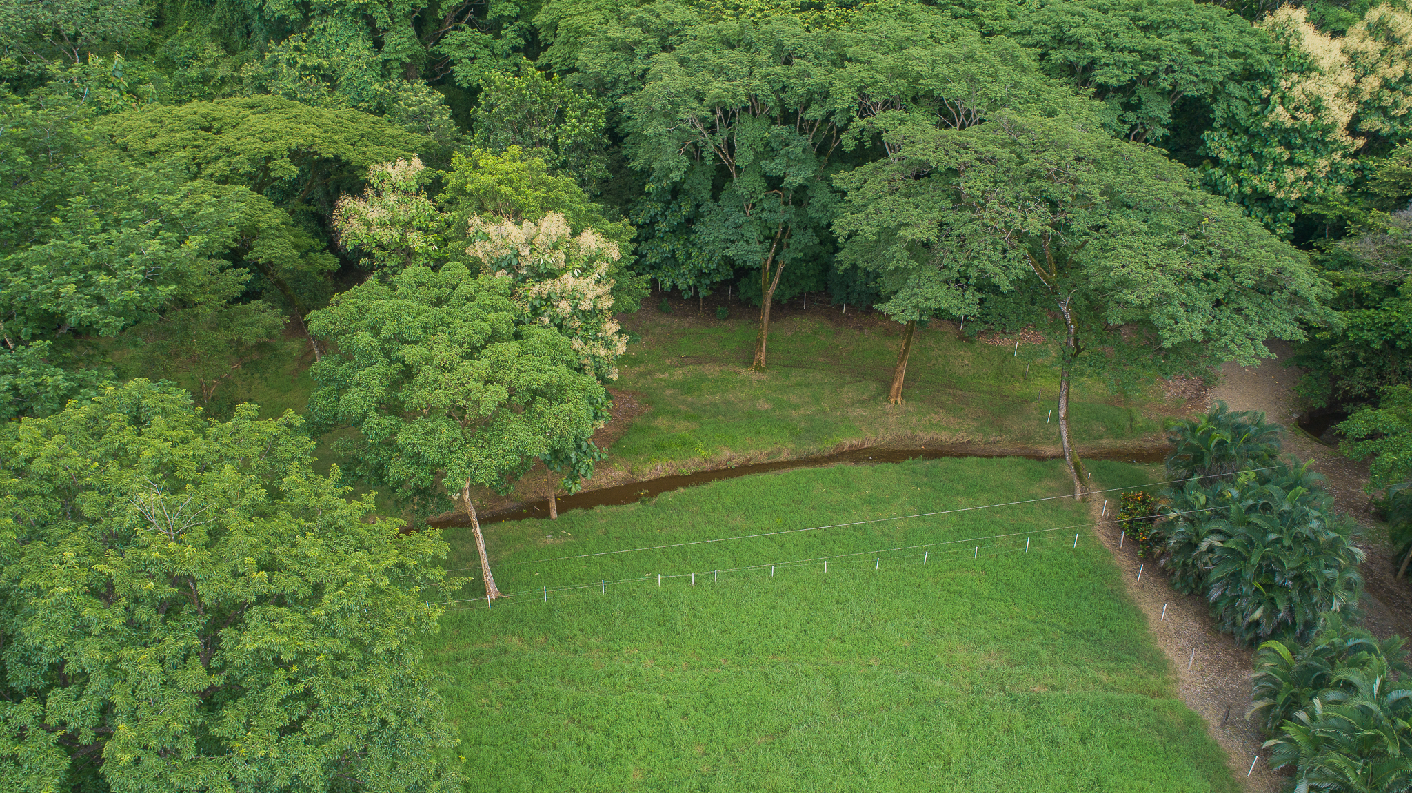 0 bed Land For Sale in Nosara, Guanacaste - thumb 23
