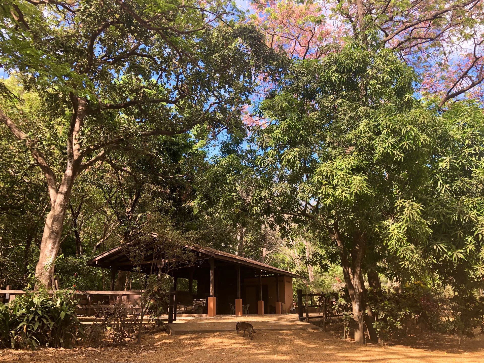 0 bed Land For Sale in Nosara, Guanacaste - thumb 4