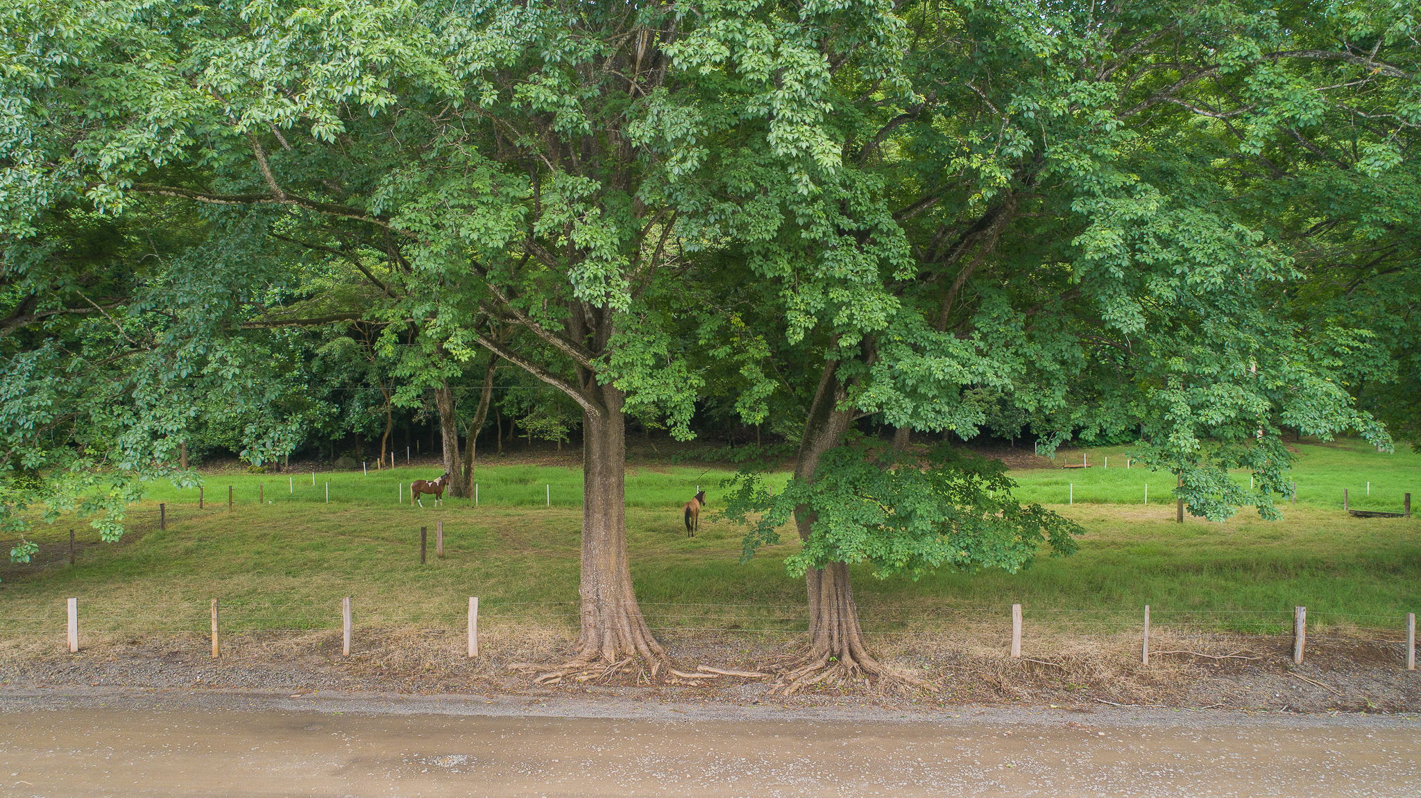 0 bed Land For Sale in Nosara, Guanacaste - thumb 22