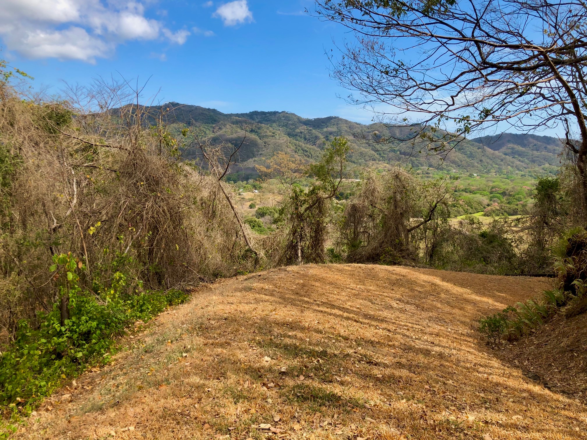 0 bed Land For Sale in Nosara, Guanacaste - thumb 7