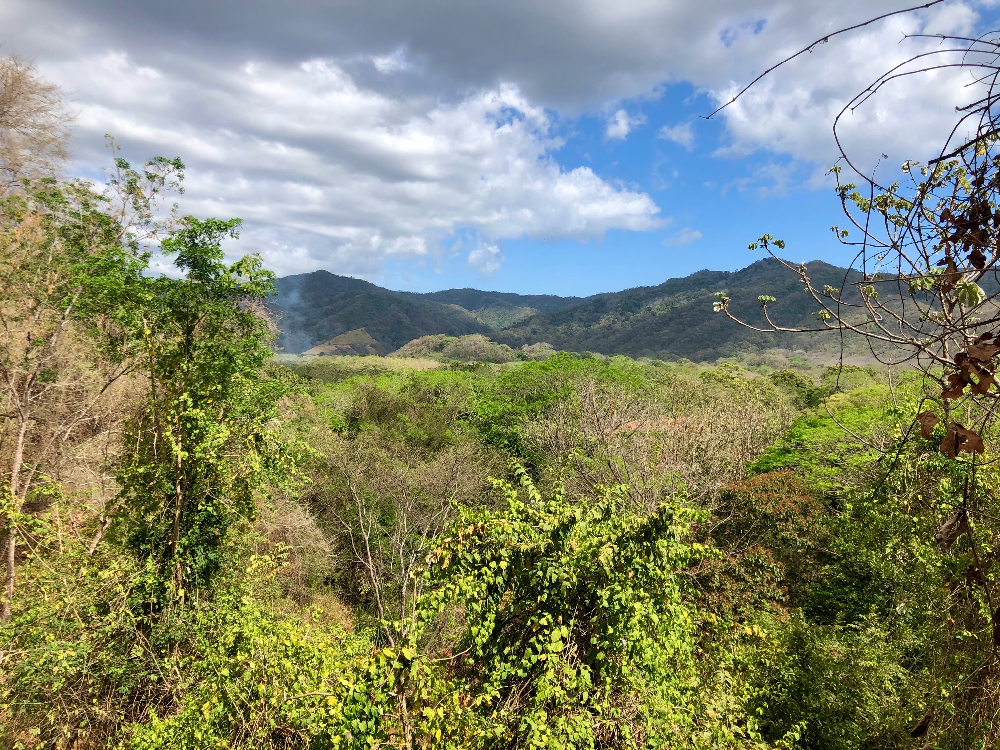 0 bed Land For Sale in Nosara, Guanacaste - thumb 12