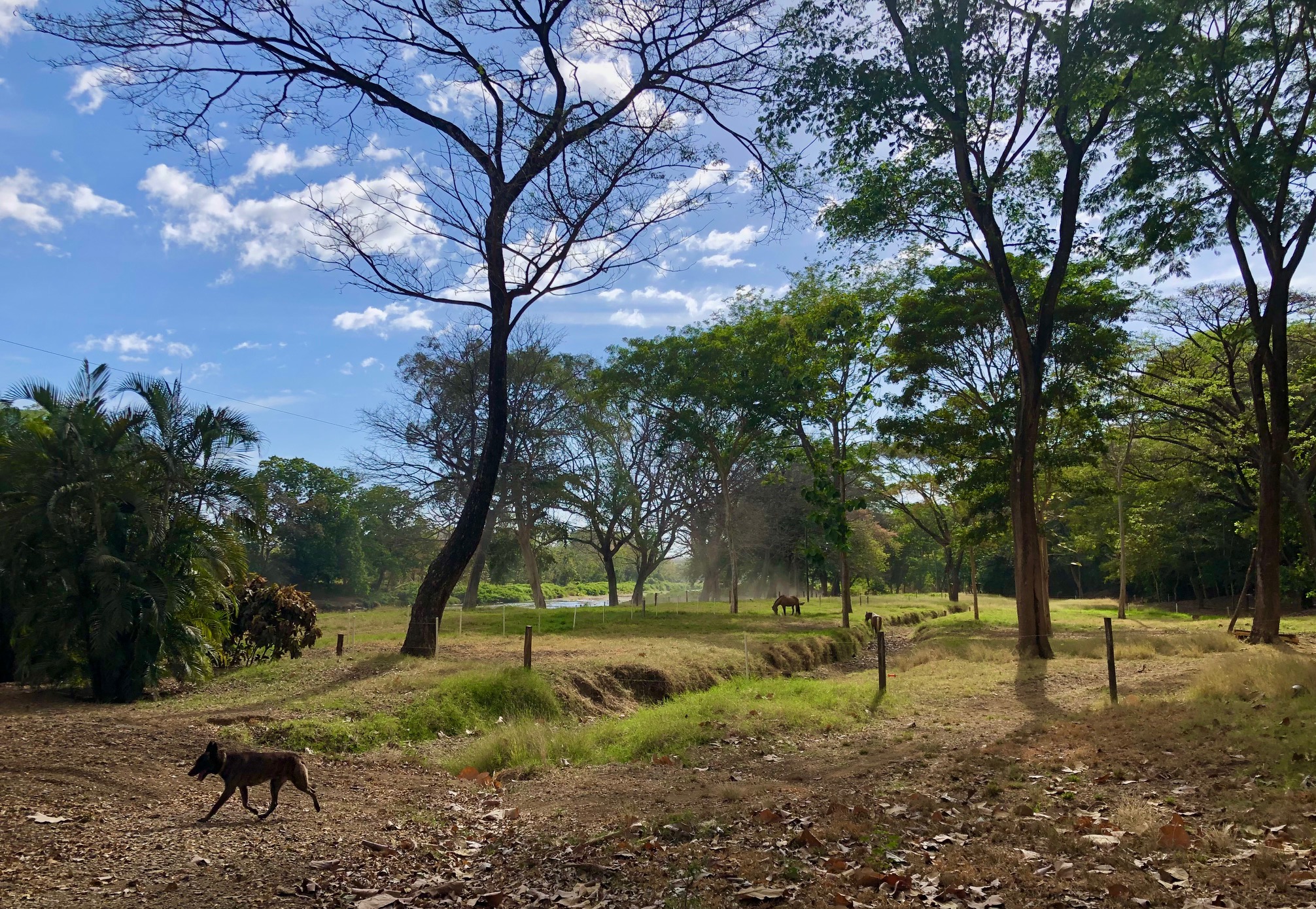 0 bed Land For Sale in Nosara, Guanacaste - thumb 3