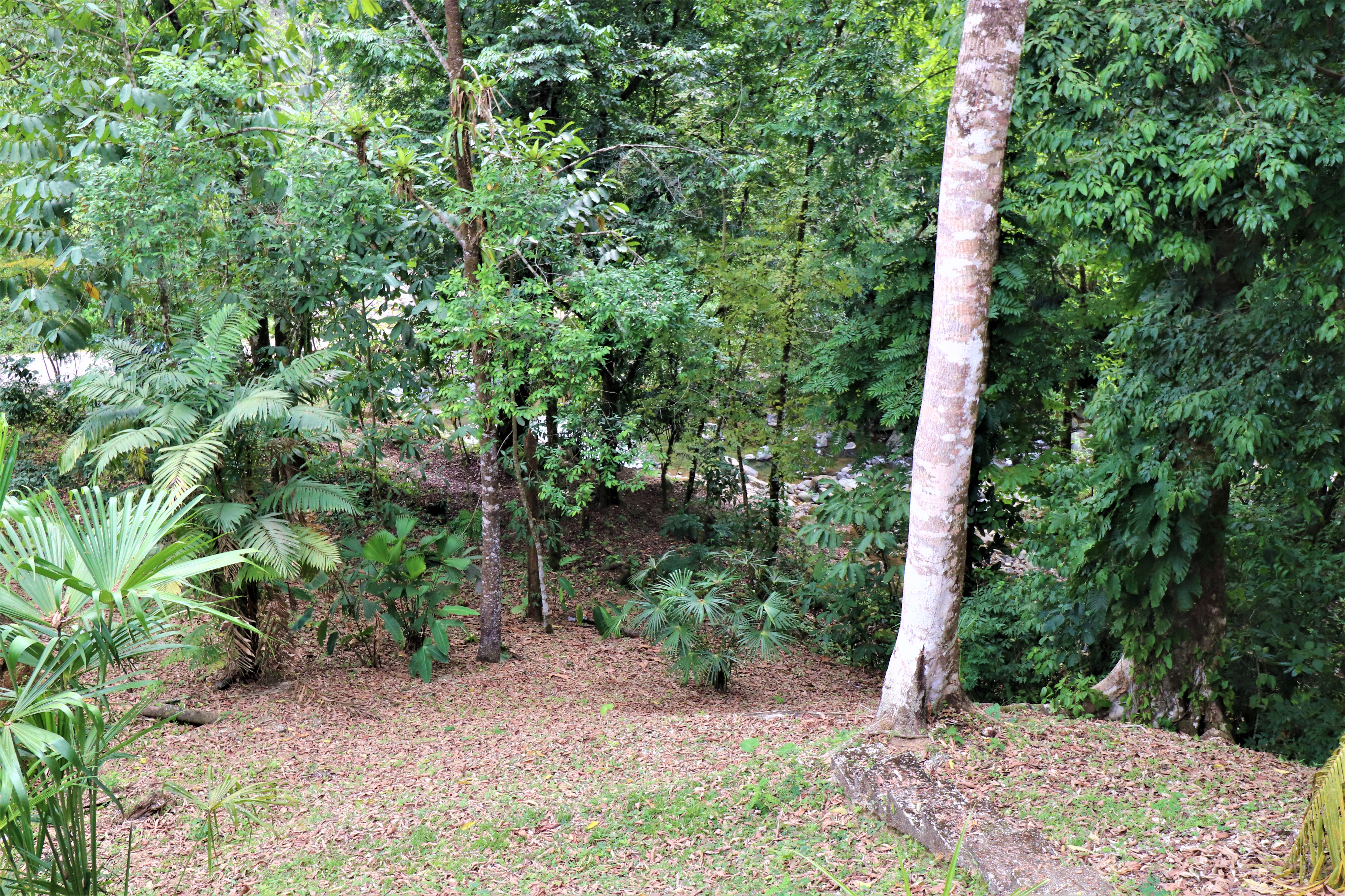 2 bed Single Family Homes For Sale in Ojochal, Puntarenas - thumb 22